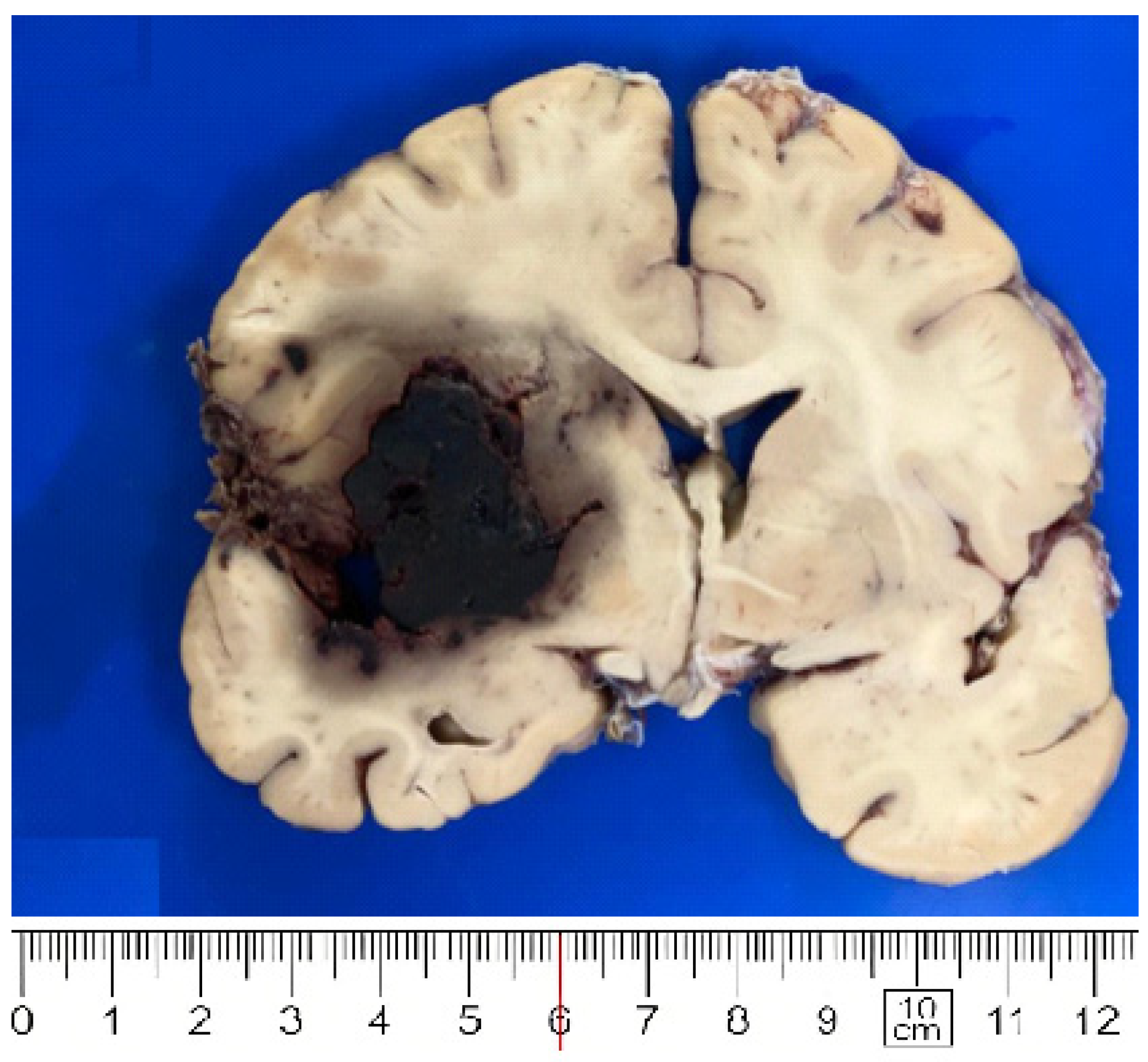 Biomolecules 12 00629 g001