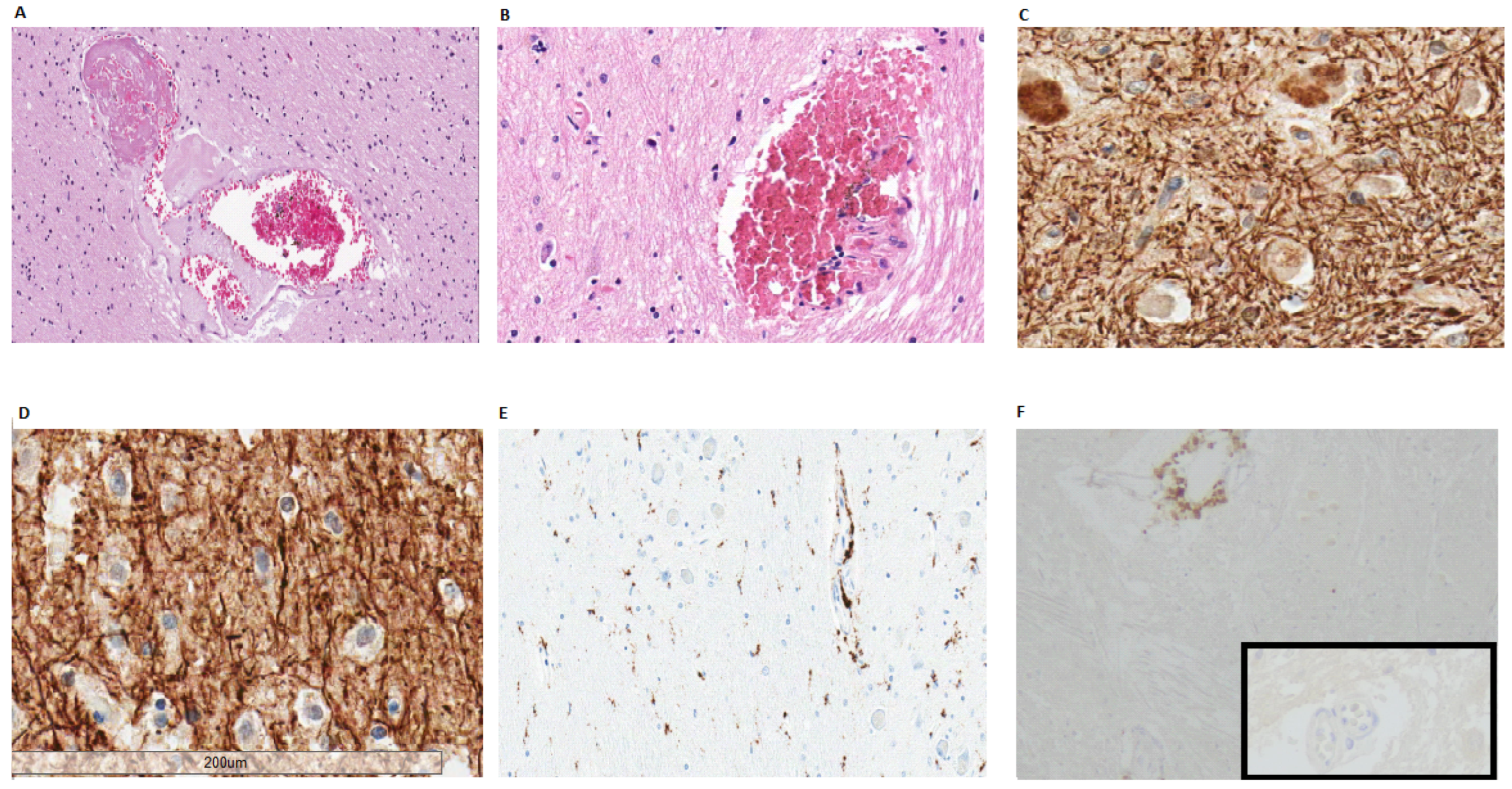 Biomolecules 12 00629 g002