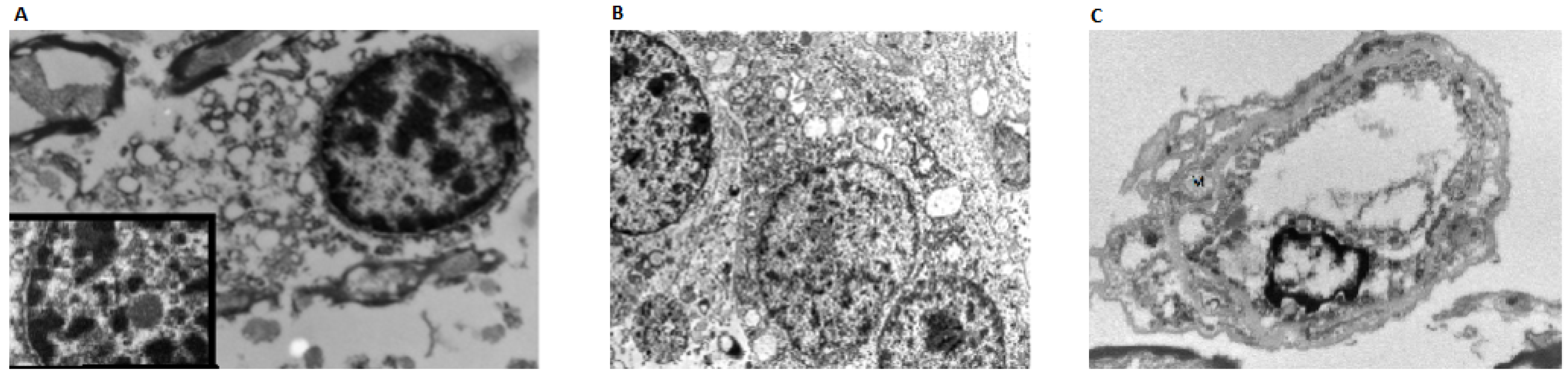 Biomolecules 12 00629 g003
