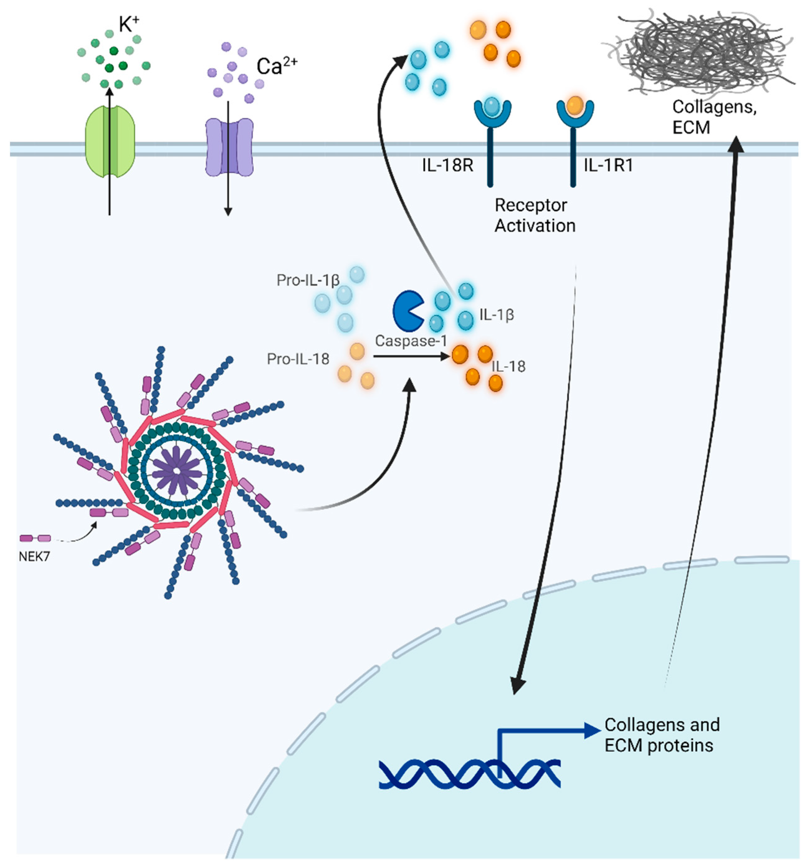 Biomolecules 12 00634 g001 Biomolecules 12 00634 g001