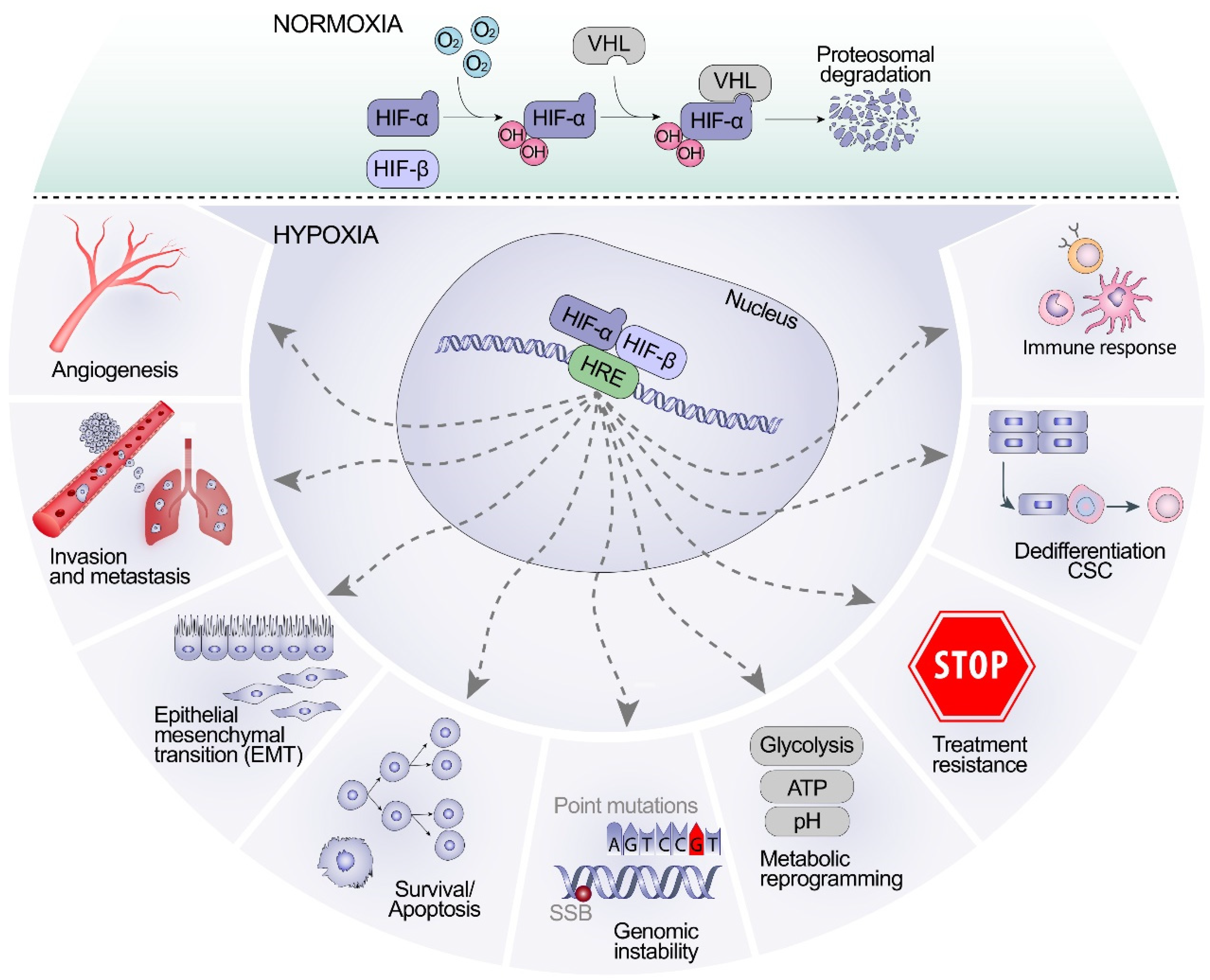 Biomolecules 12 00635 g003
