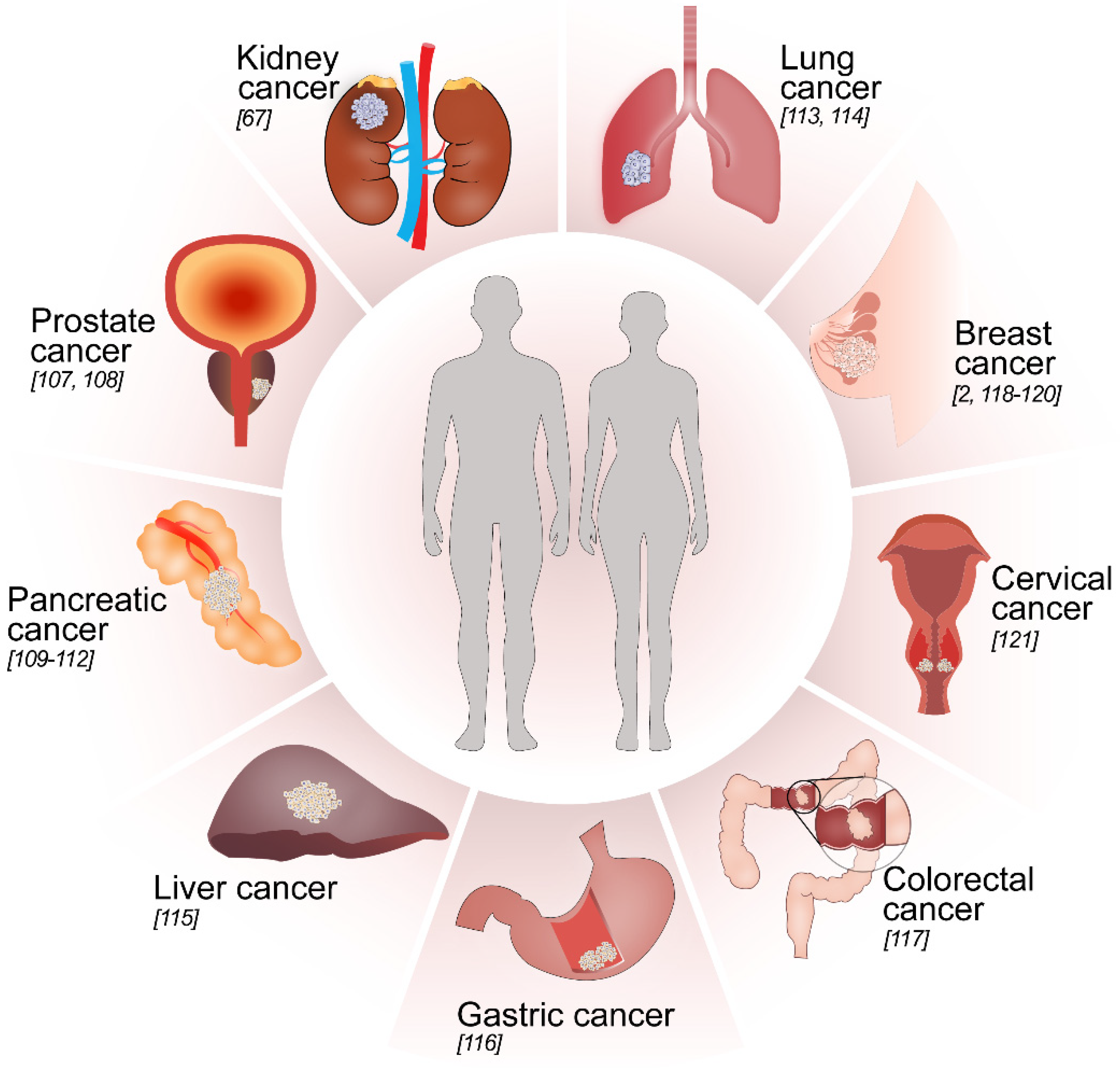 Biomolecules 12 00635 g004