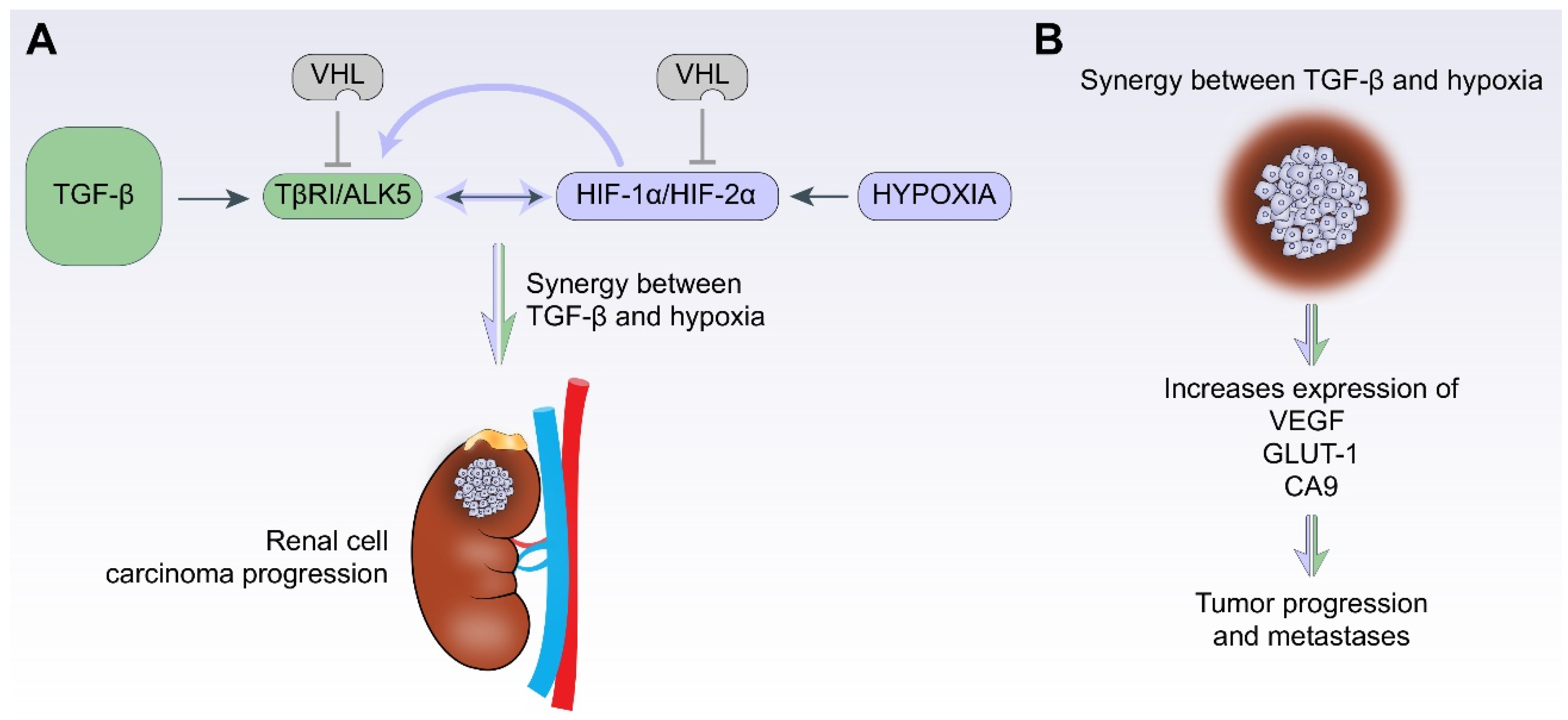 Biomolecules 12 00635 g005