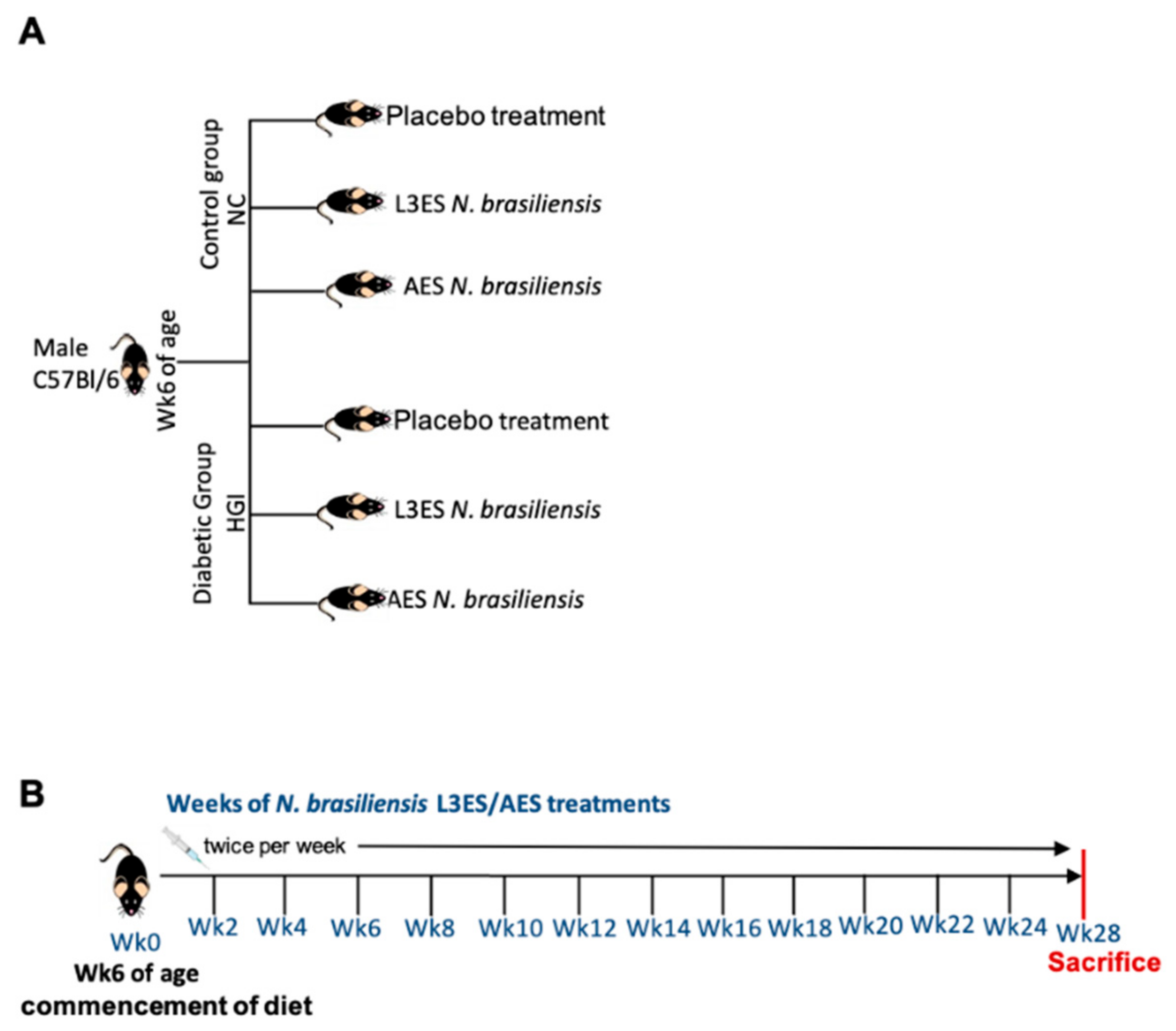 Biomolecules 12 00637 g001 Biomolecules 12 00637 g001