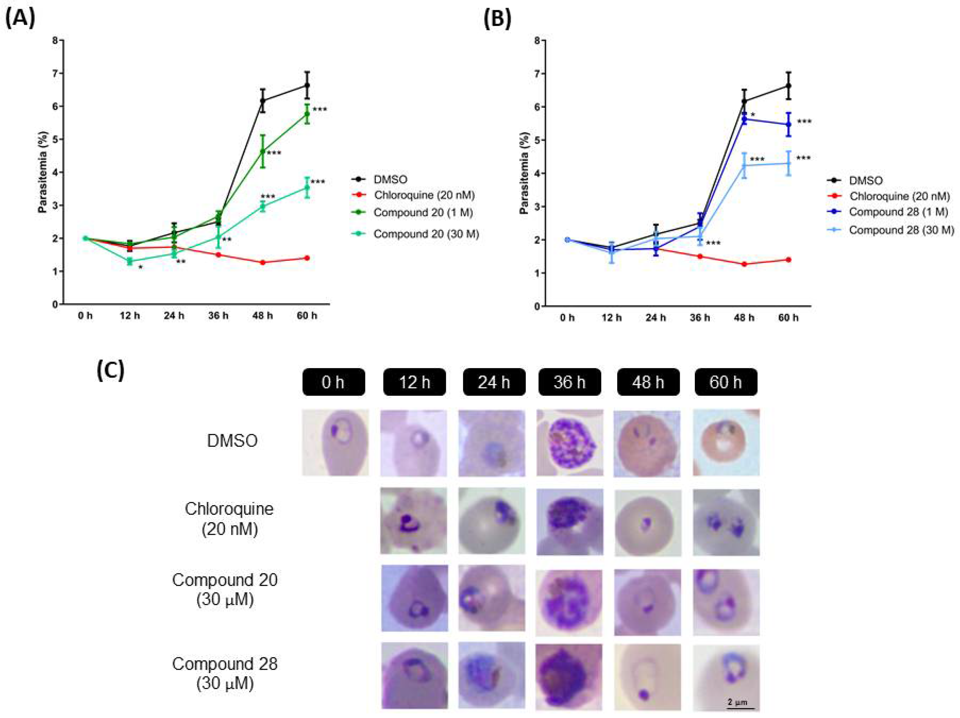 Biomolecules 12 00638 g005