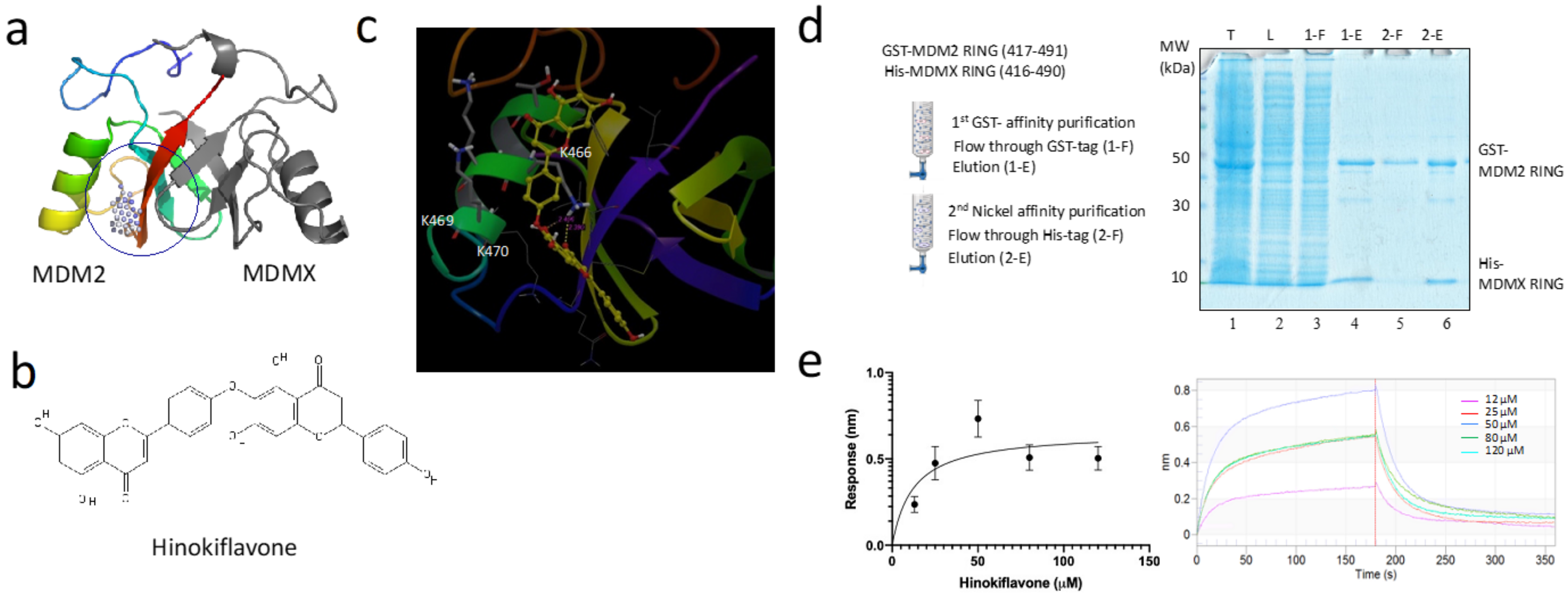 Biomolecules 12 00643 g001