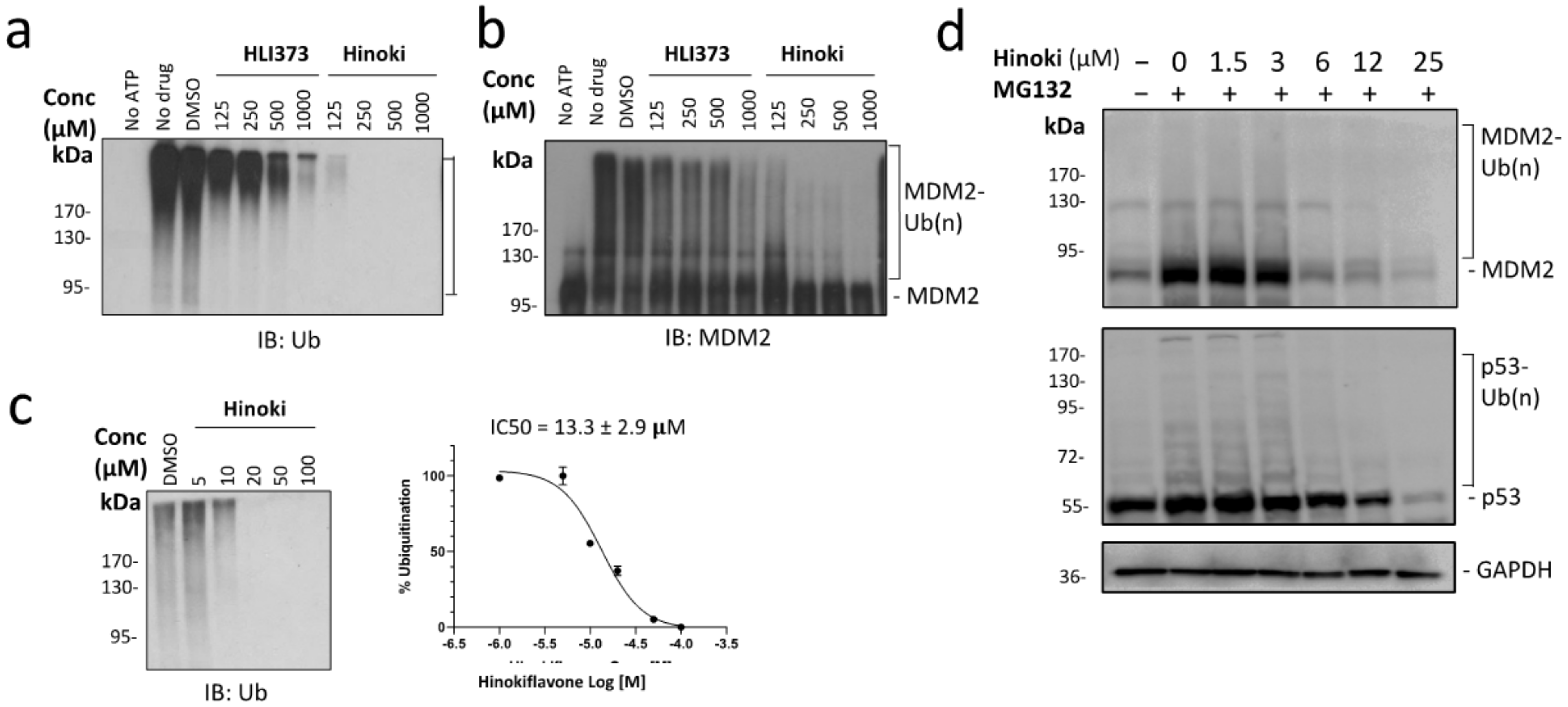 Biomolecules 12 00643 g002