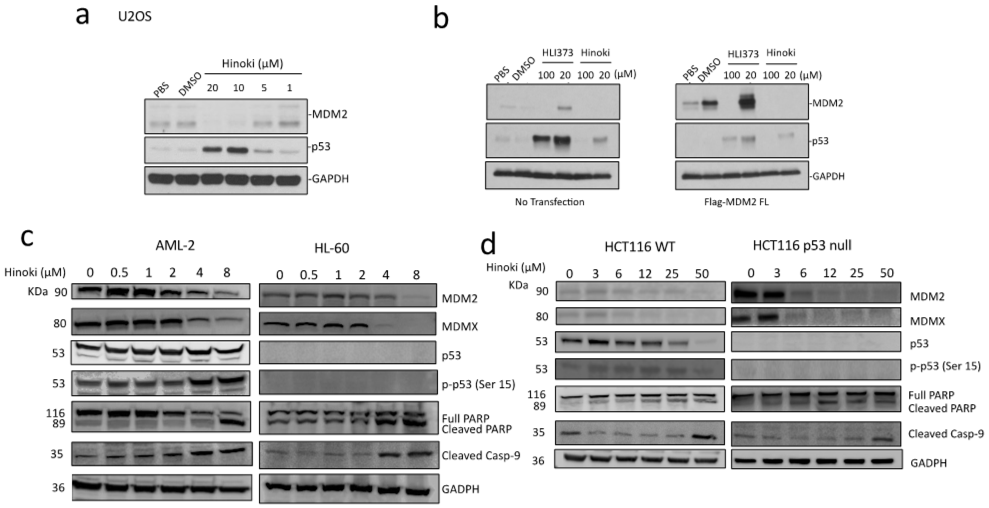Biomolecules 12 00643 g004
