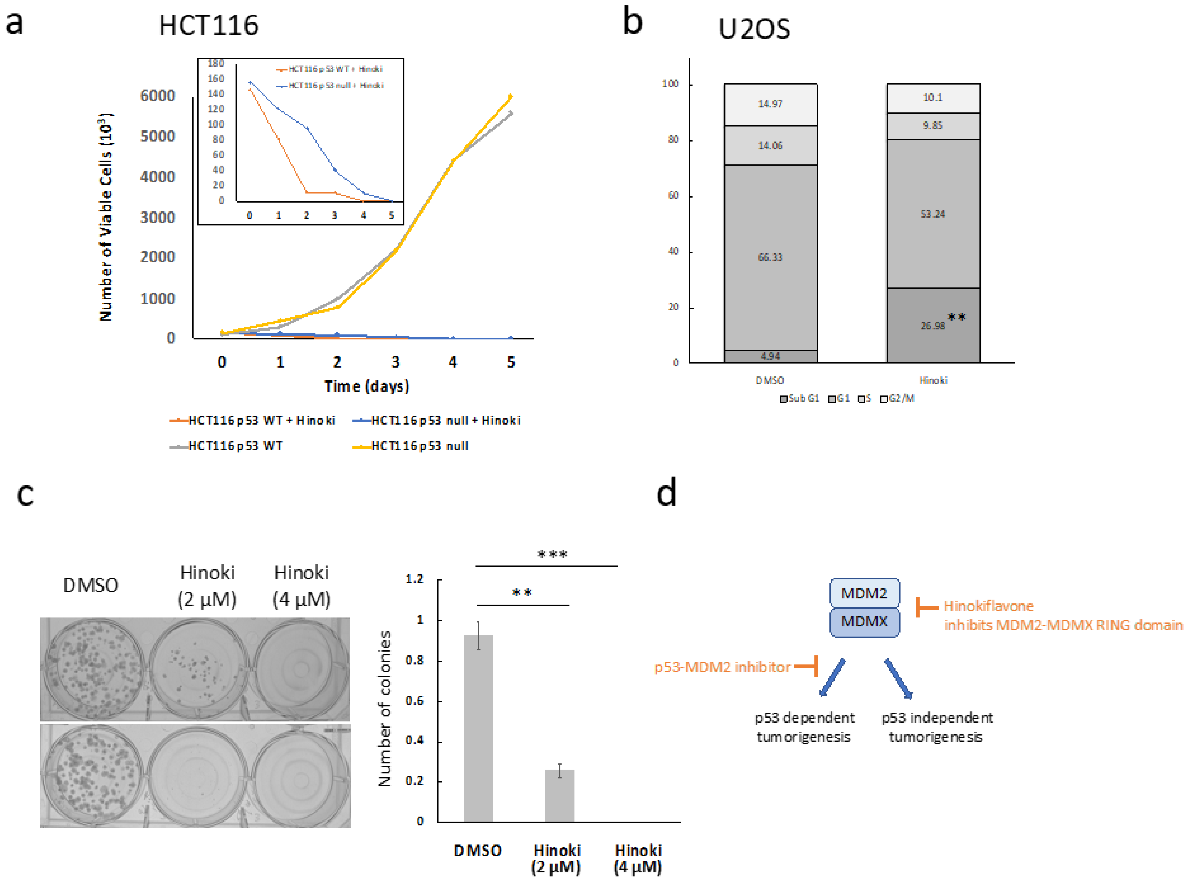 Biomolecules 12 00643 g005