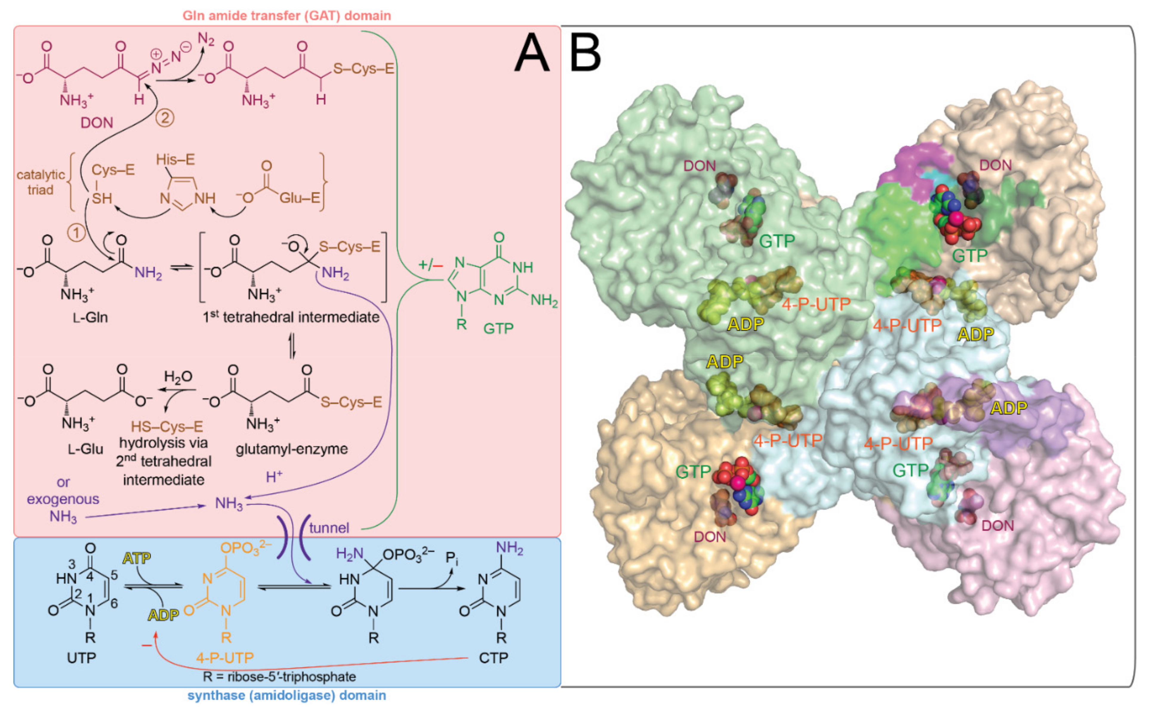 Biomolecules 12 00647 g001