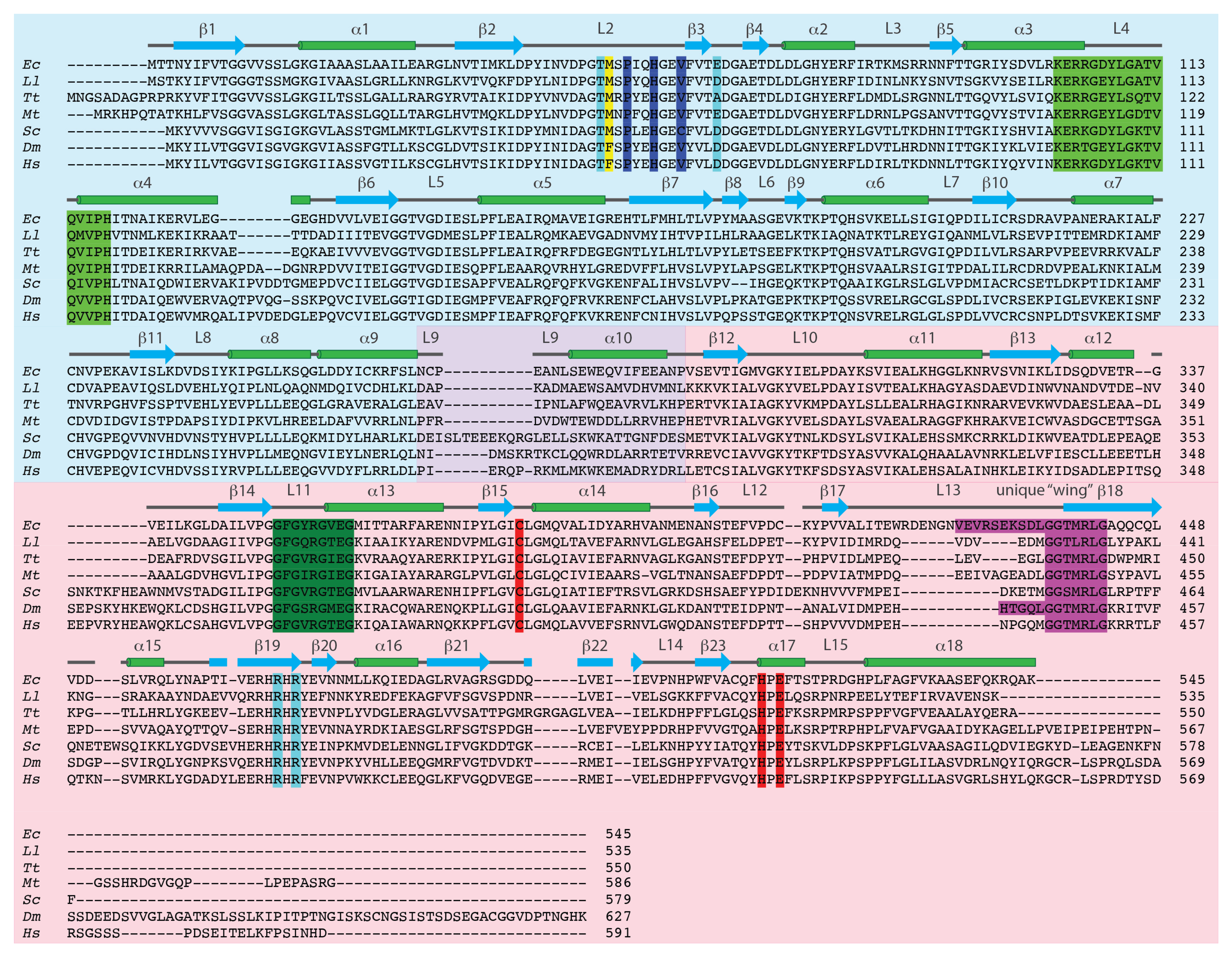 Biomolecules 12 00647 g002