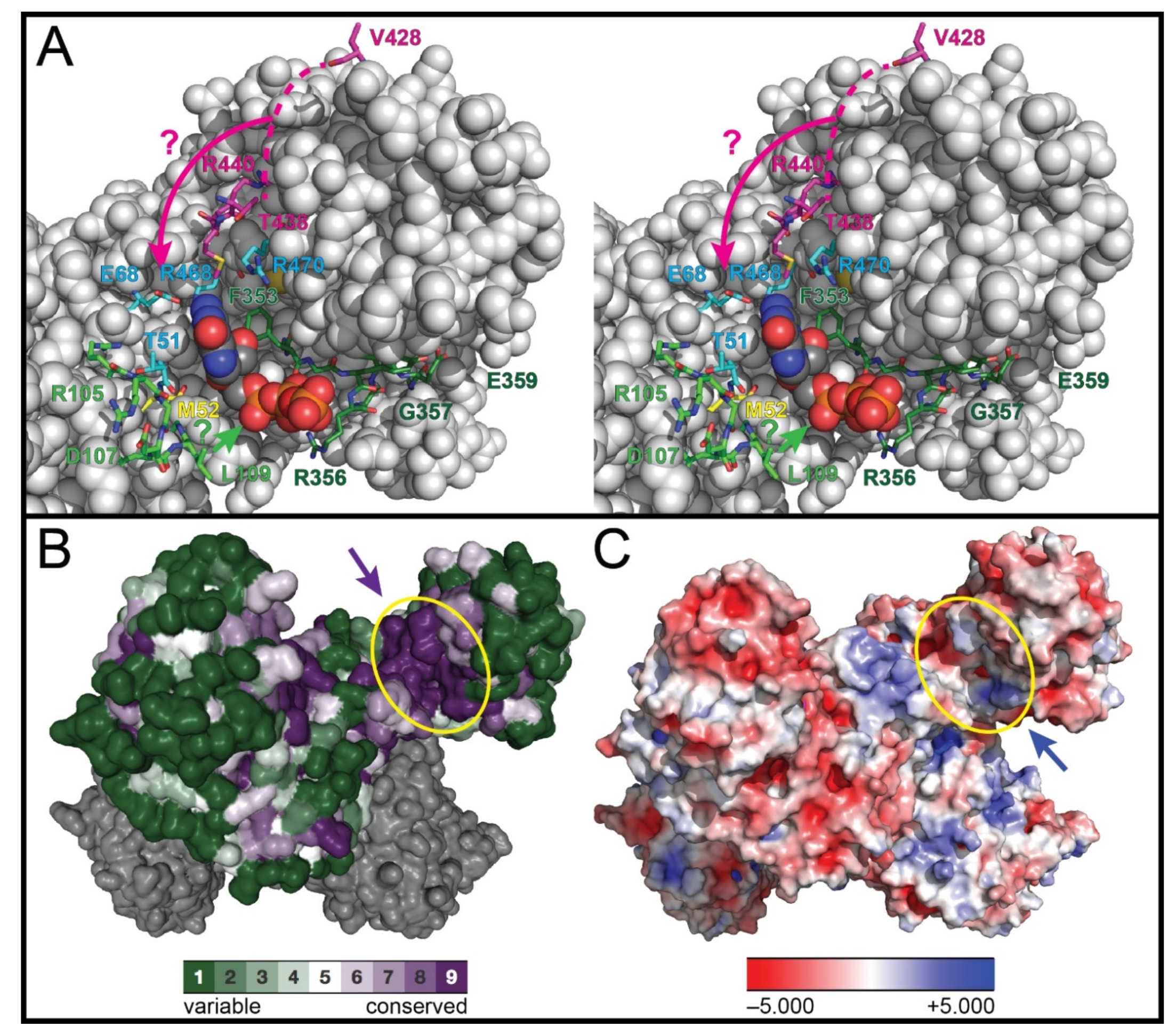 Biomolecules 12 00647 g003