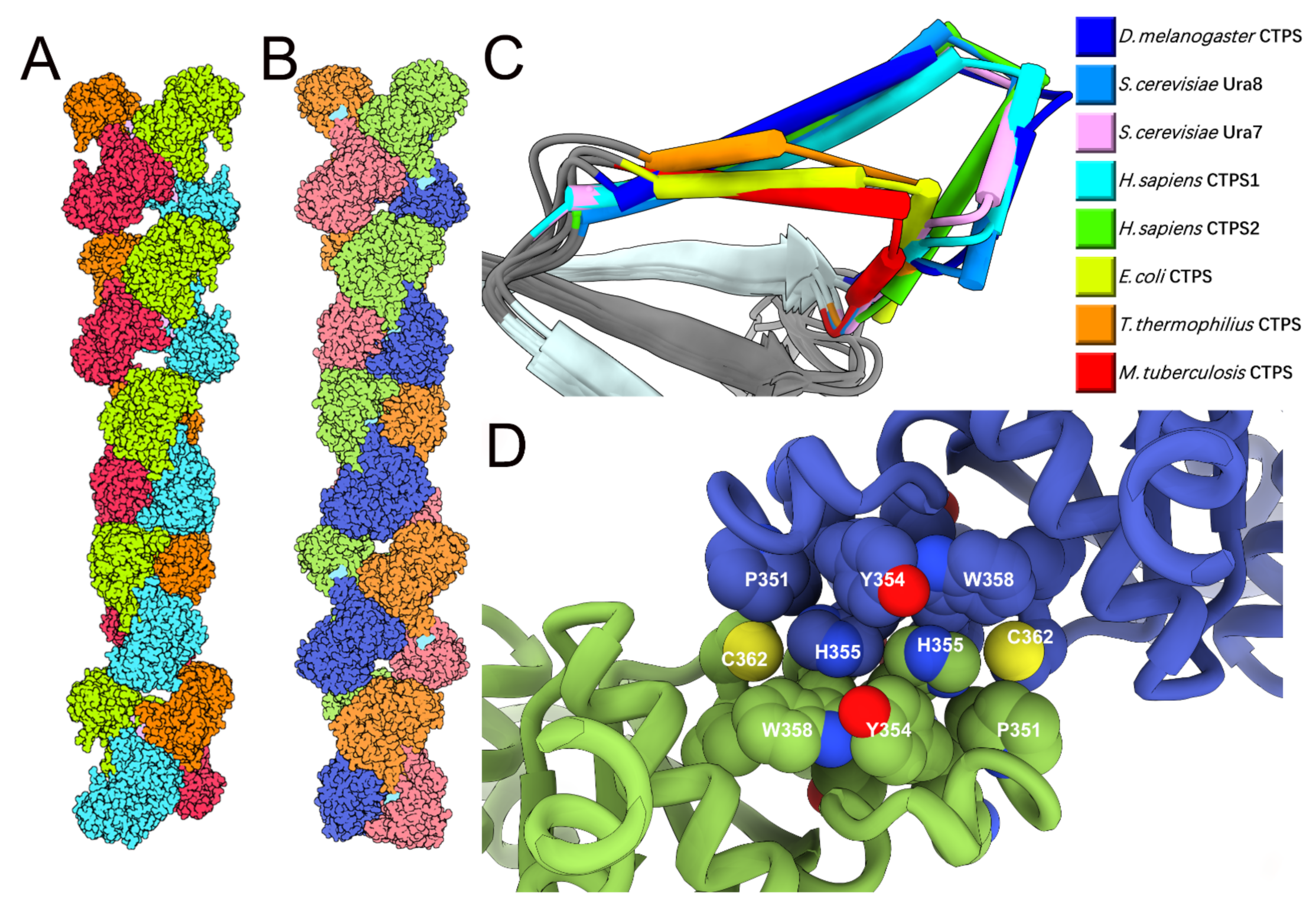 Biomolecules 12 00647 g005