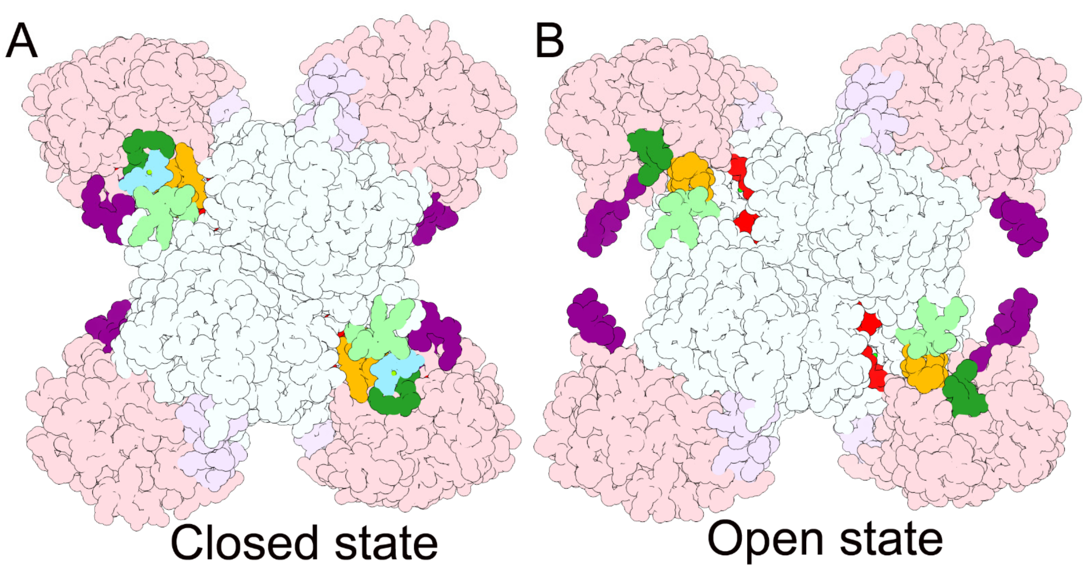 Biomolecules 12 00647 g006