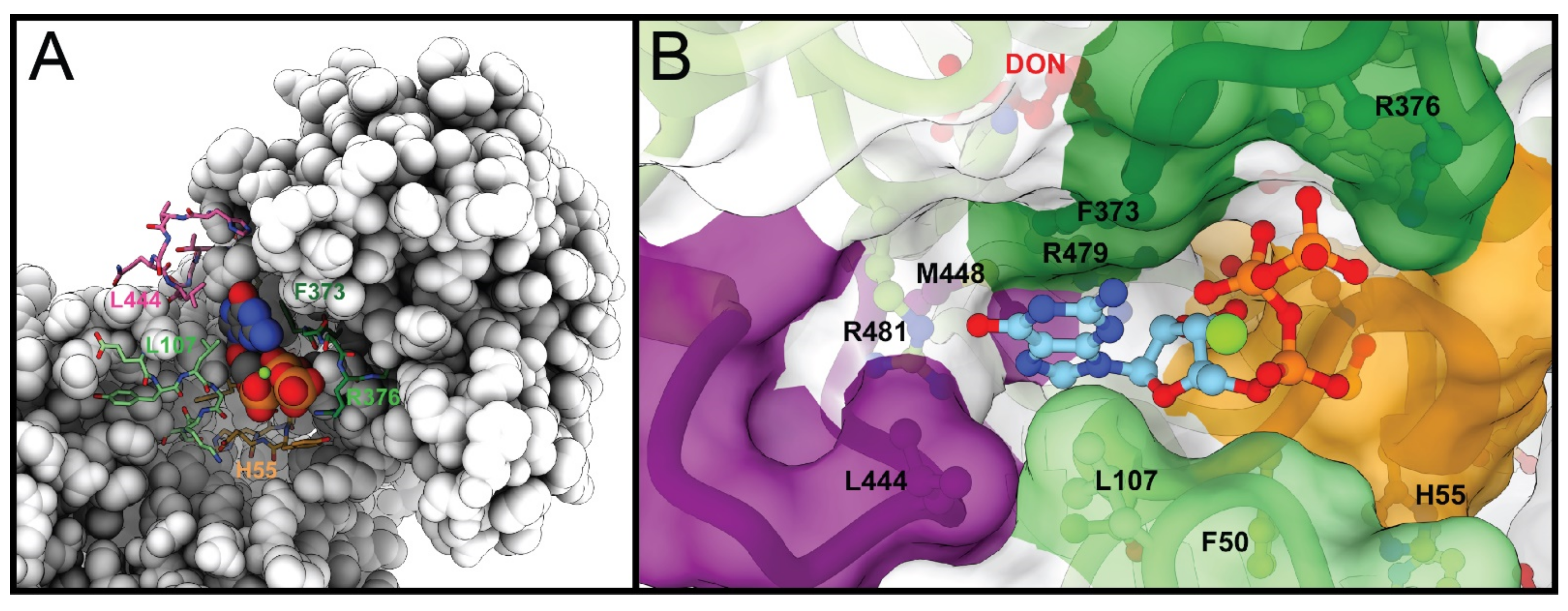 Biomolecules 12 00647 g007