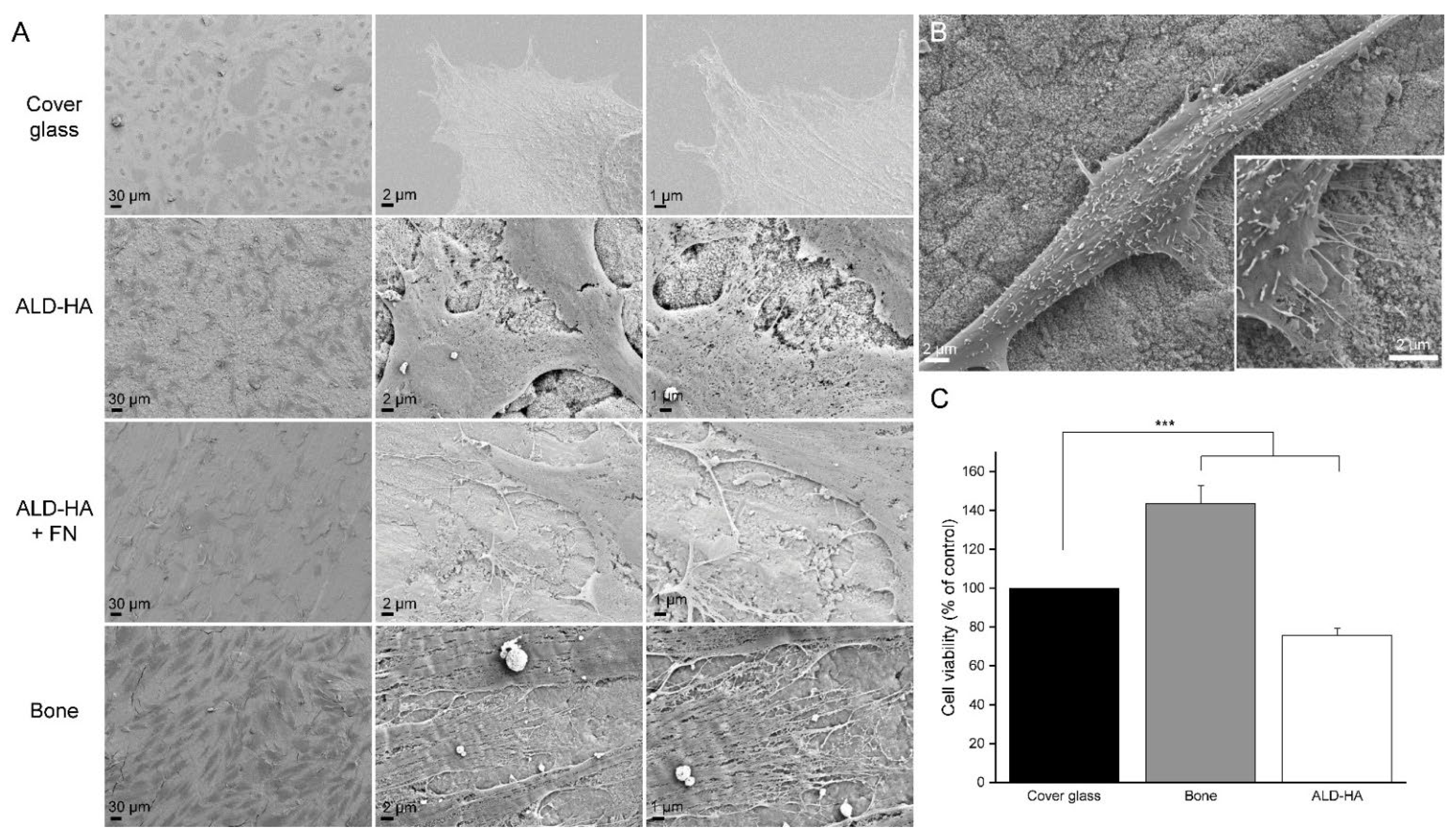 Biomolecules 12 00654 g001