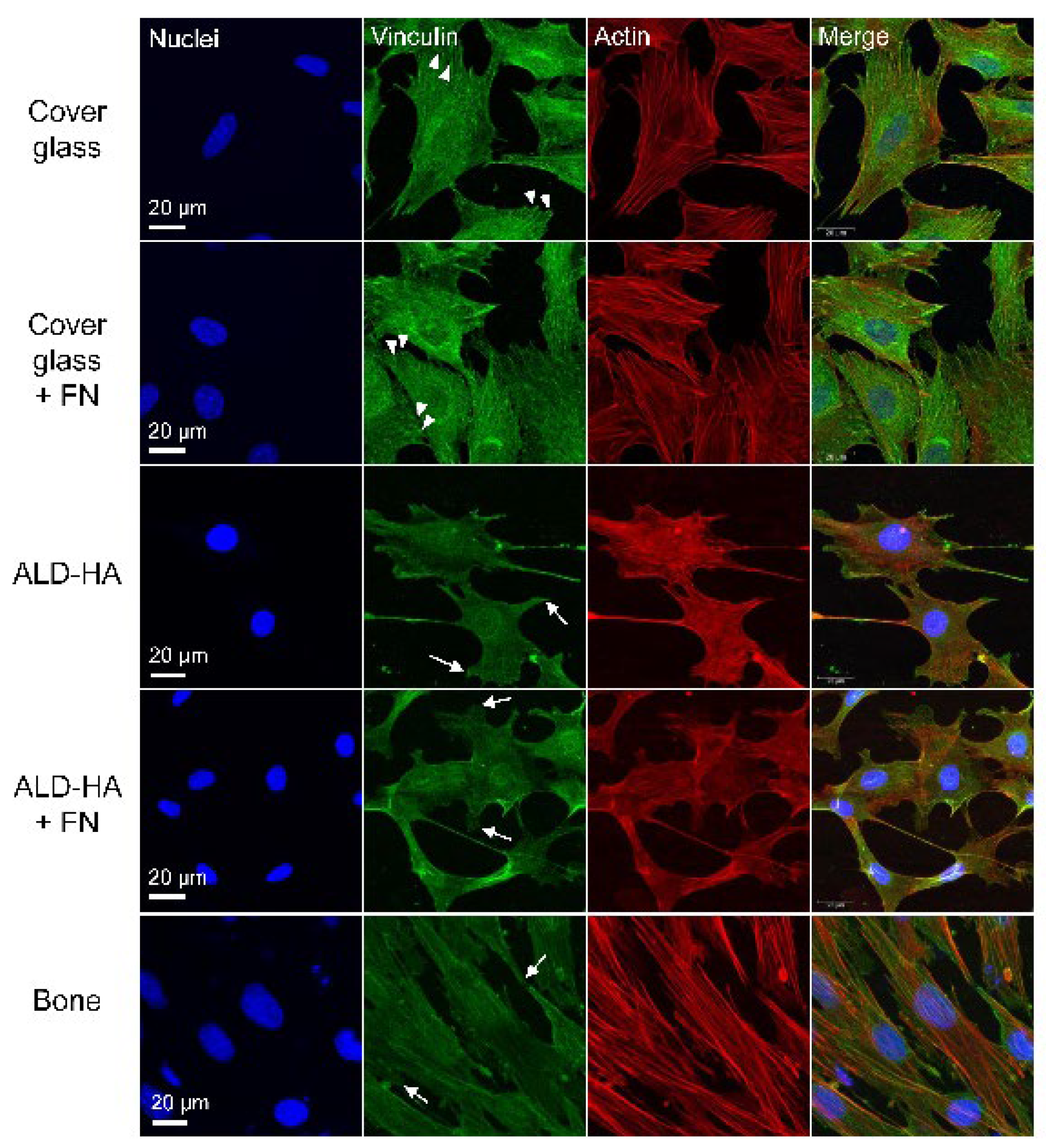 Biomolecules 12 00654 g002