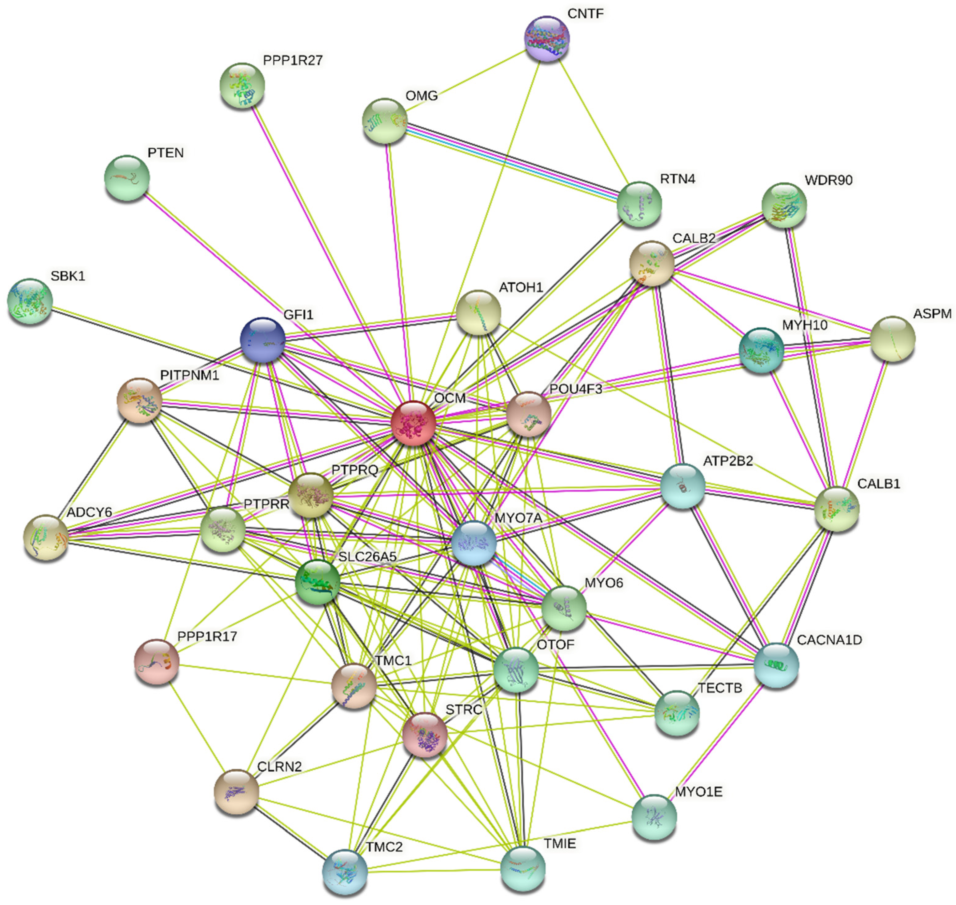 Biomolecules 12 00656 g005 Biomolecules 12 00656 g005