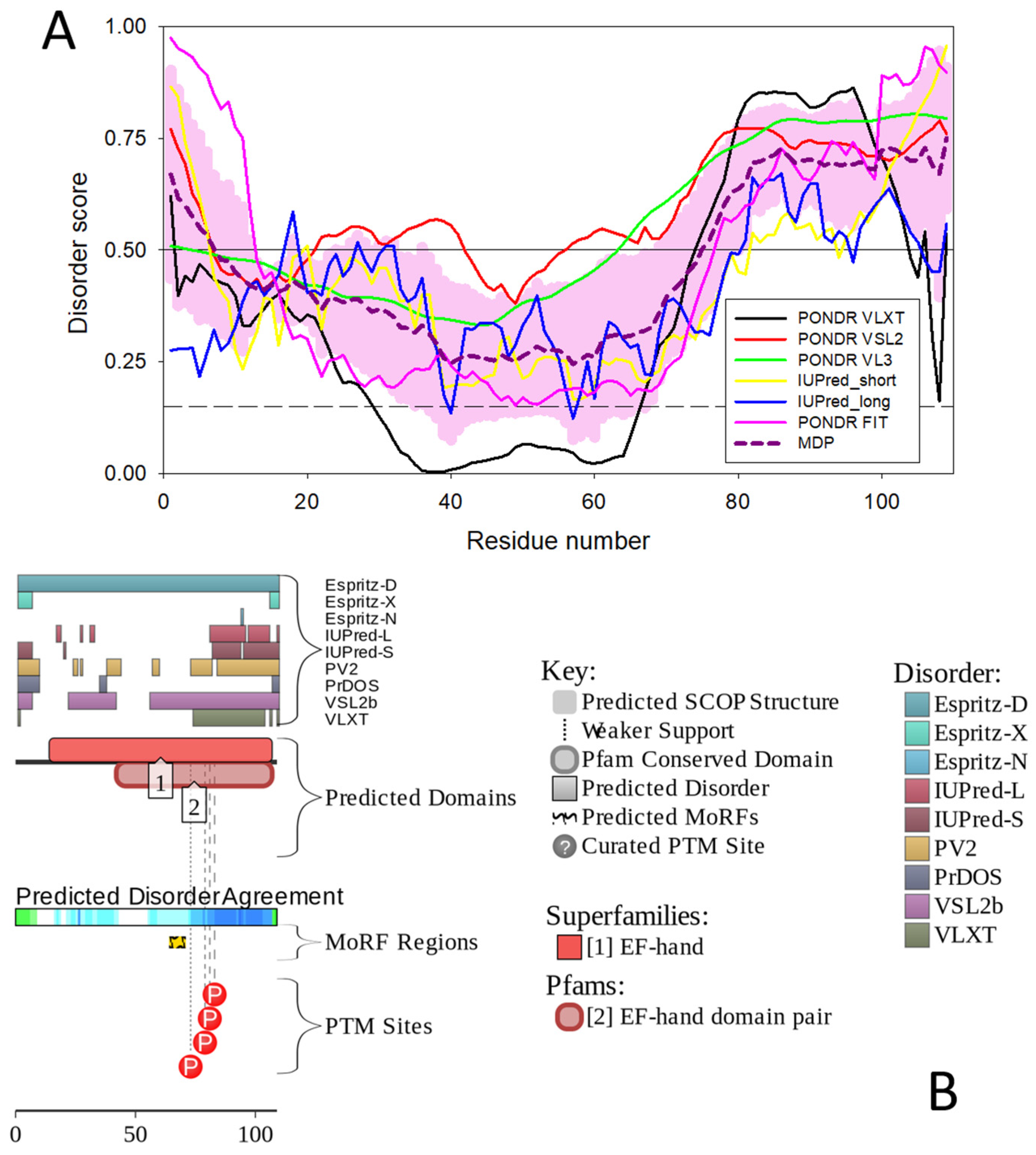 Biomolecules 12 00656 g006 Biomolecules 12 00656 g006