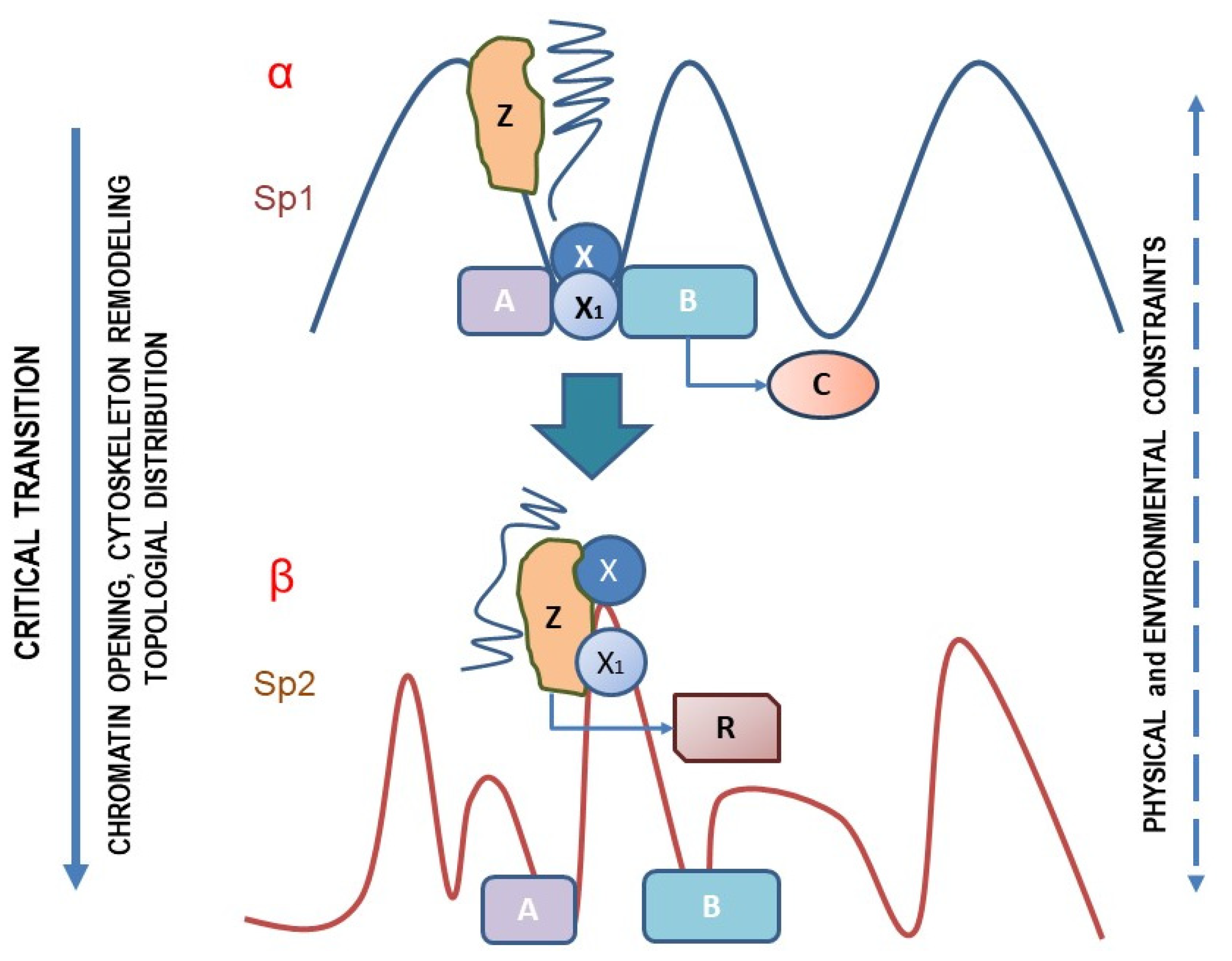 Biomolecules 12 00662 g001