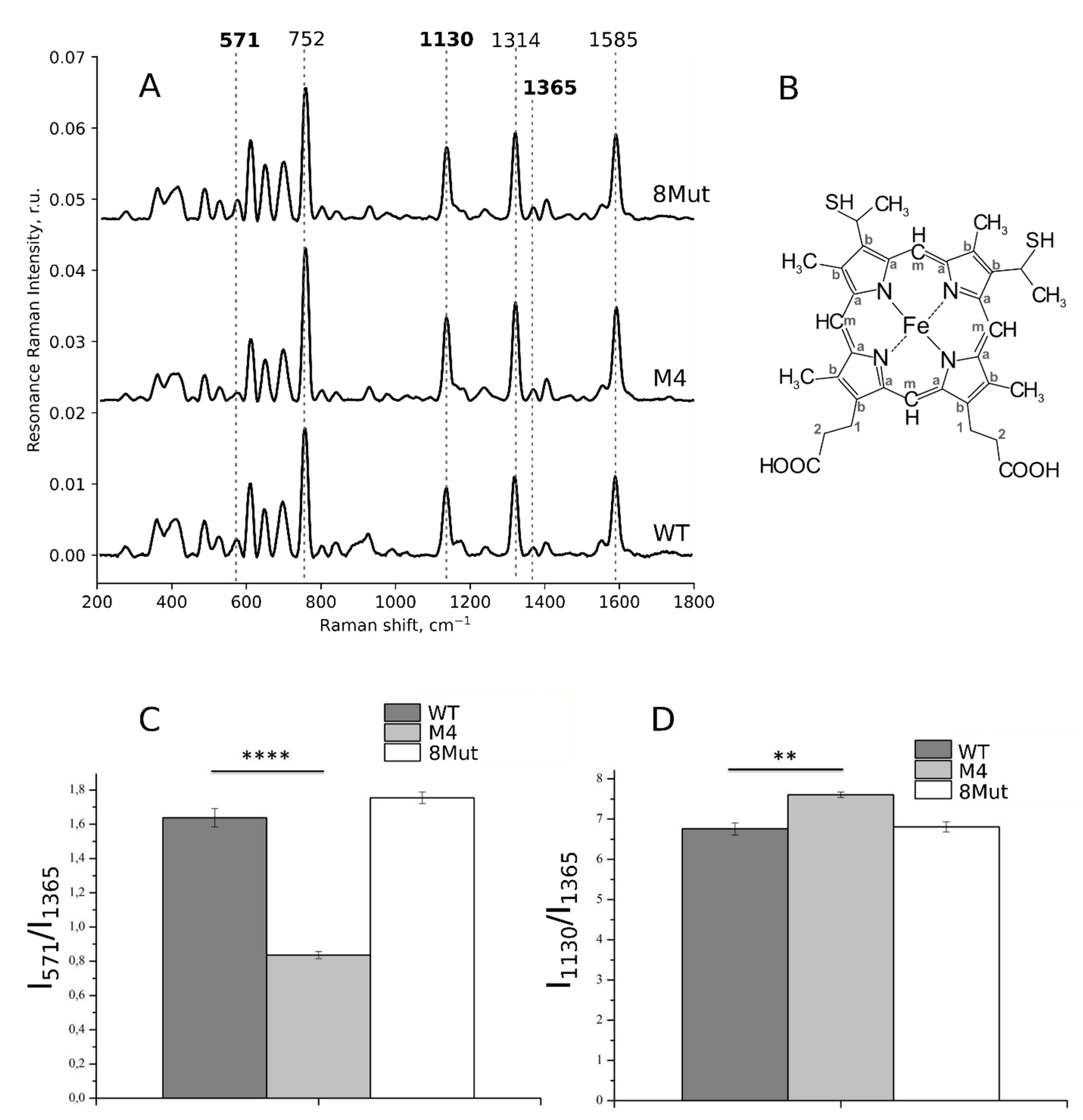 Biomolecules 12 00665 g004 Biomolecules 12 00665 g004