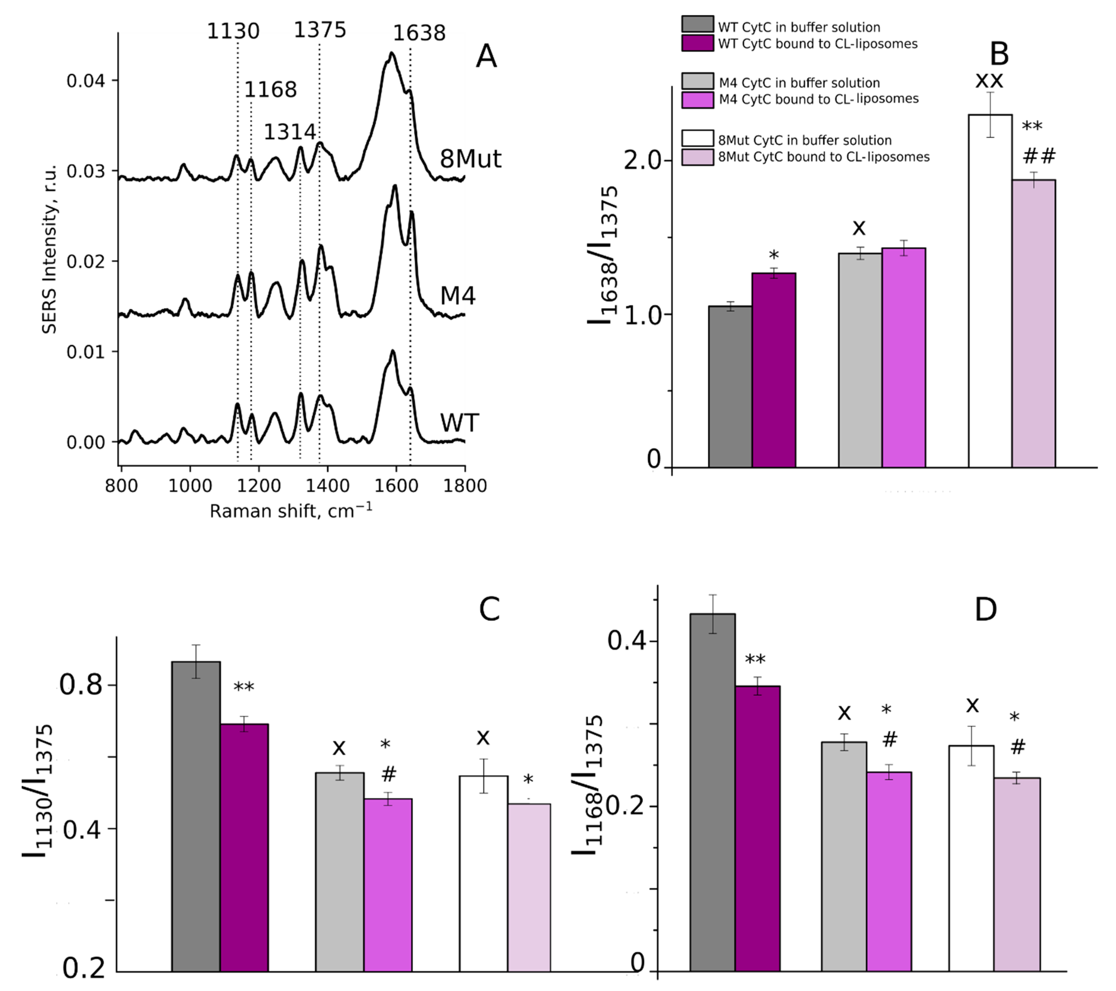 Biomolecules 12 00665 g005 Biomolecules 12 00665 g005