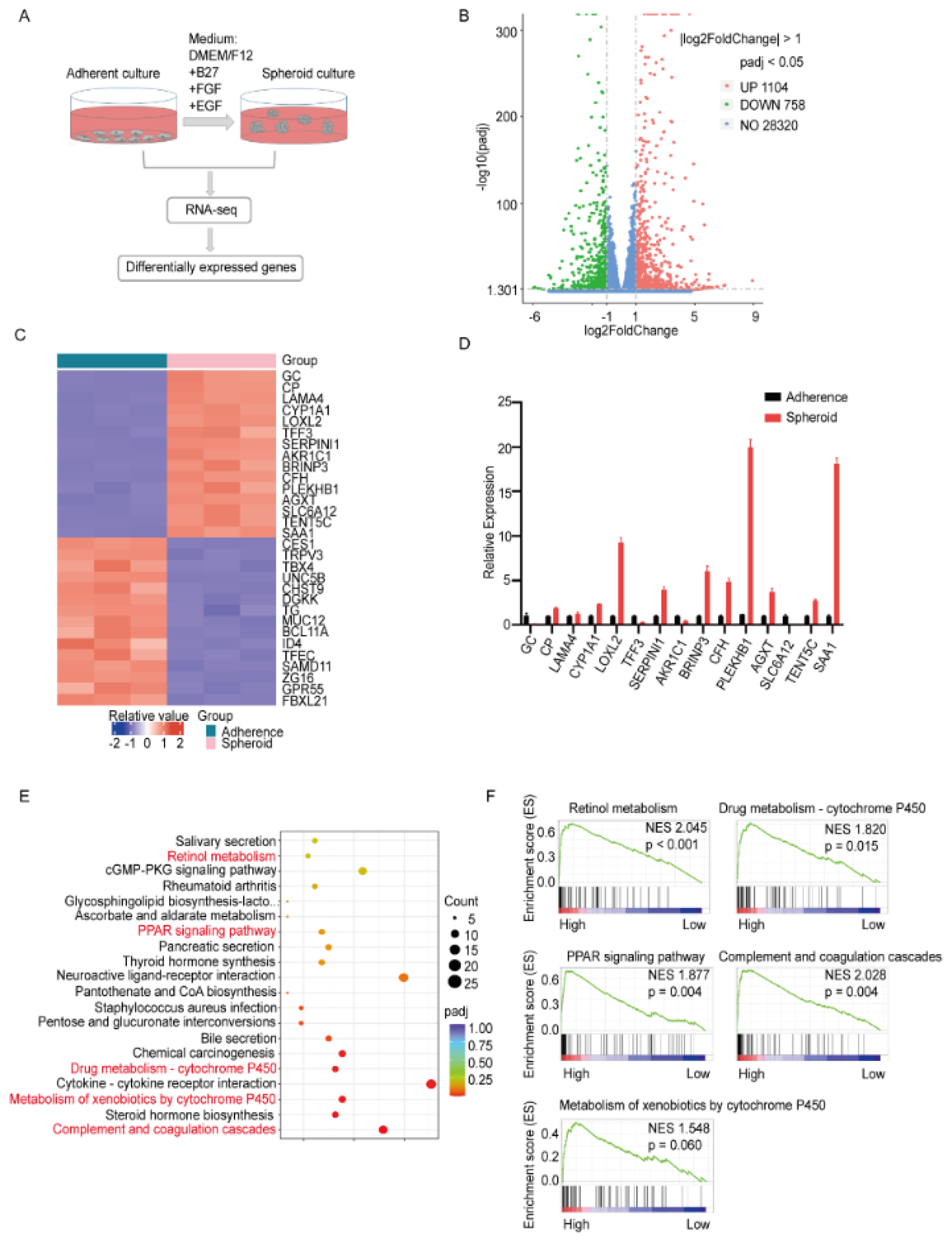 Biomolecules 12 00668 g001