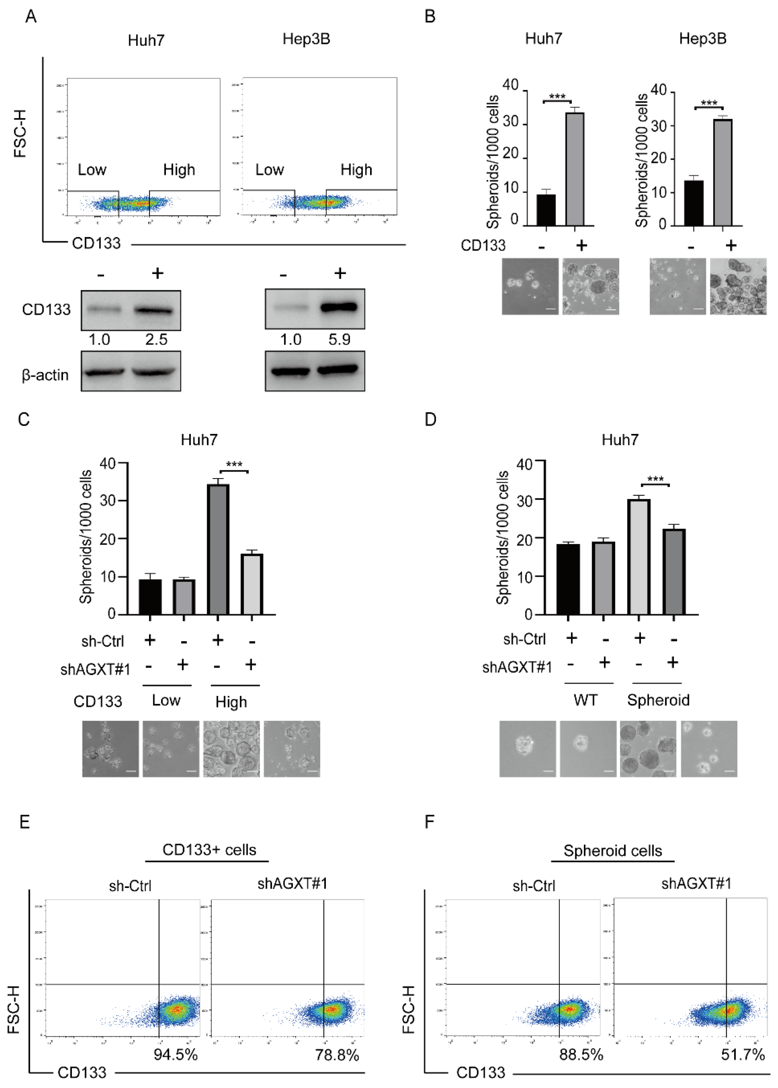 Biomolecules 12 00668 g003