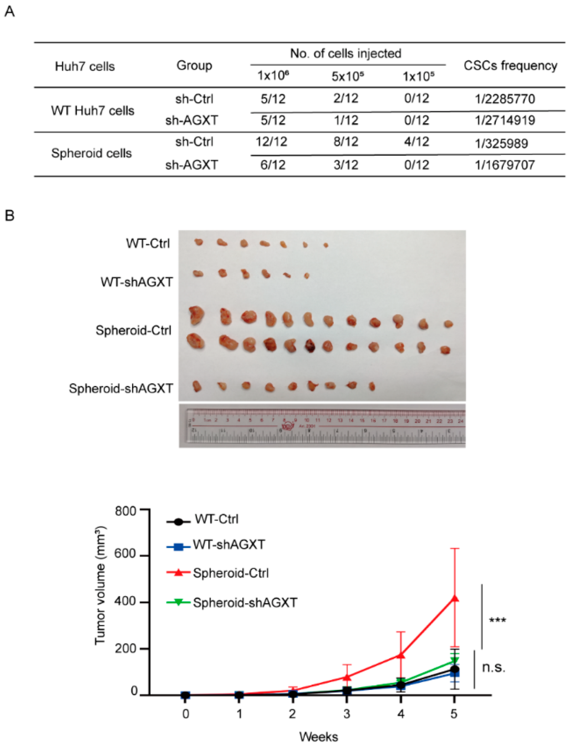 Biomolecules 12 00668 g005