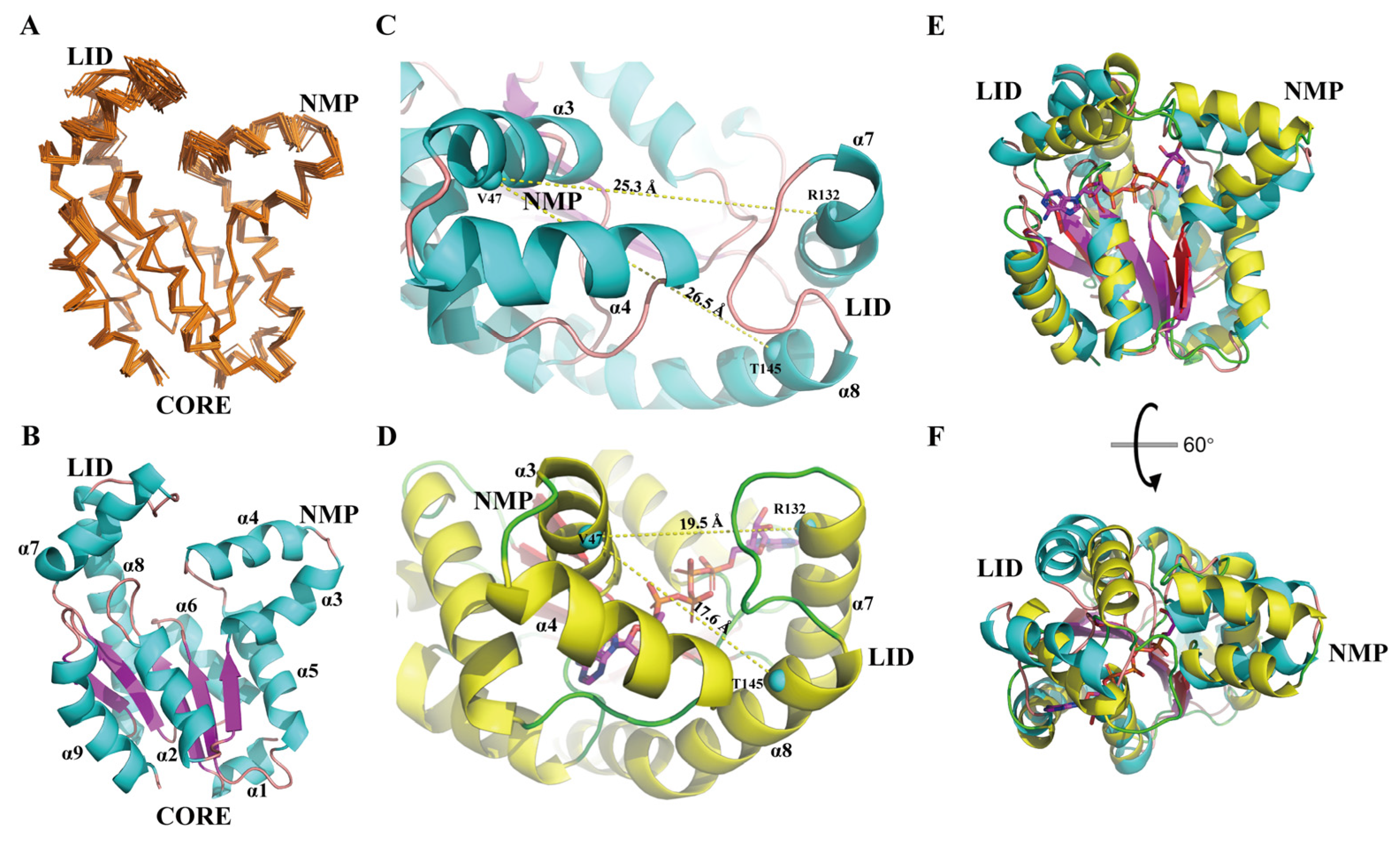 Biomolecules 12 00671 g001