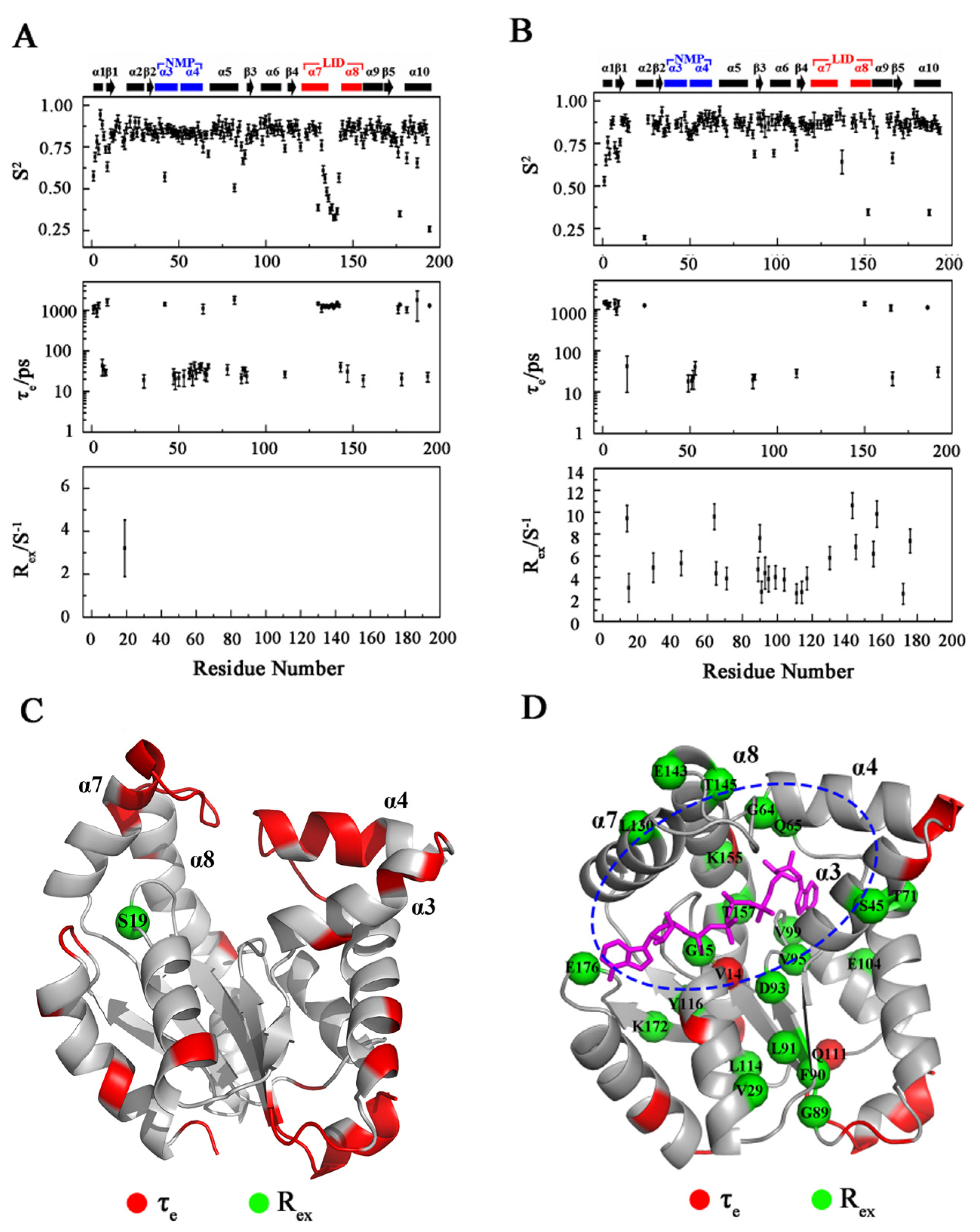 Biomolecules 12 00671 g004