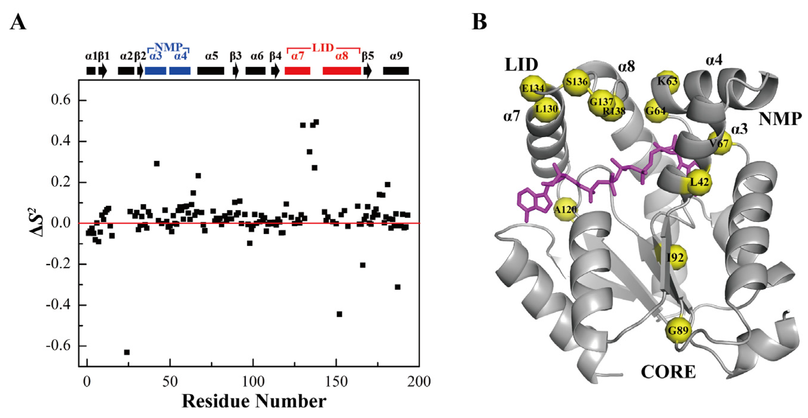 Biomolecules 12 00671 g005