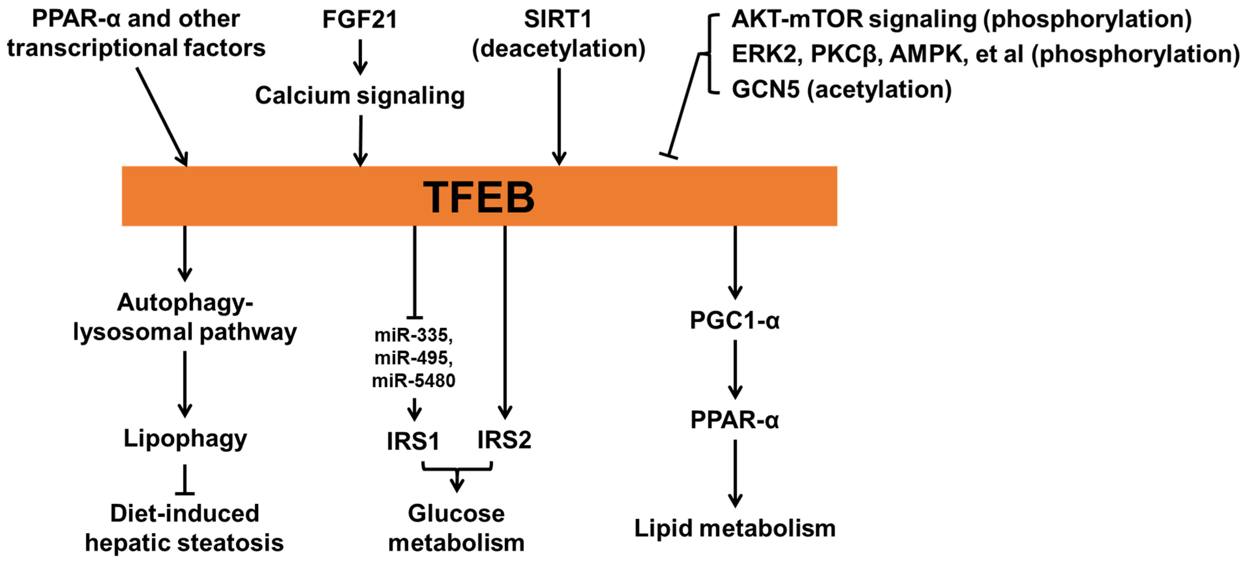 Biomolecules 12 00672 g003