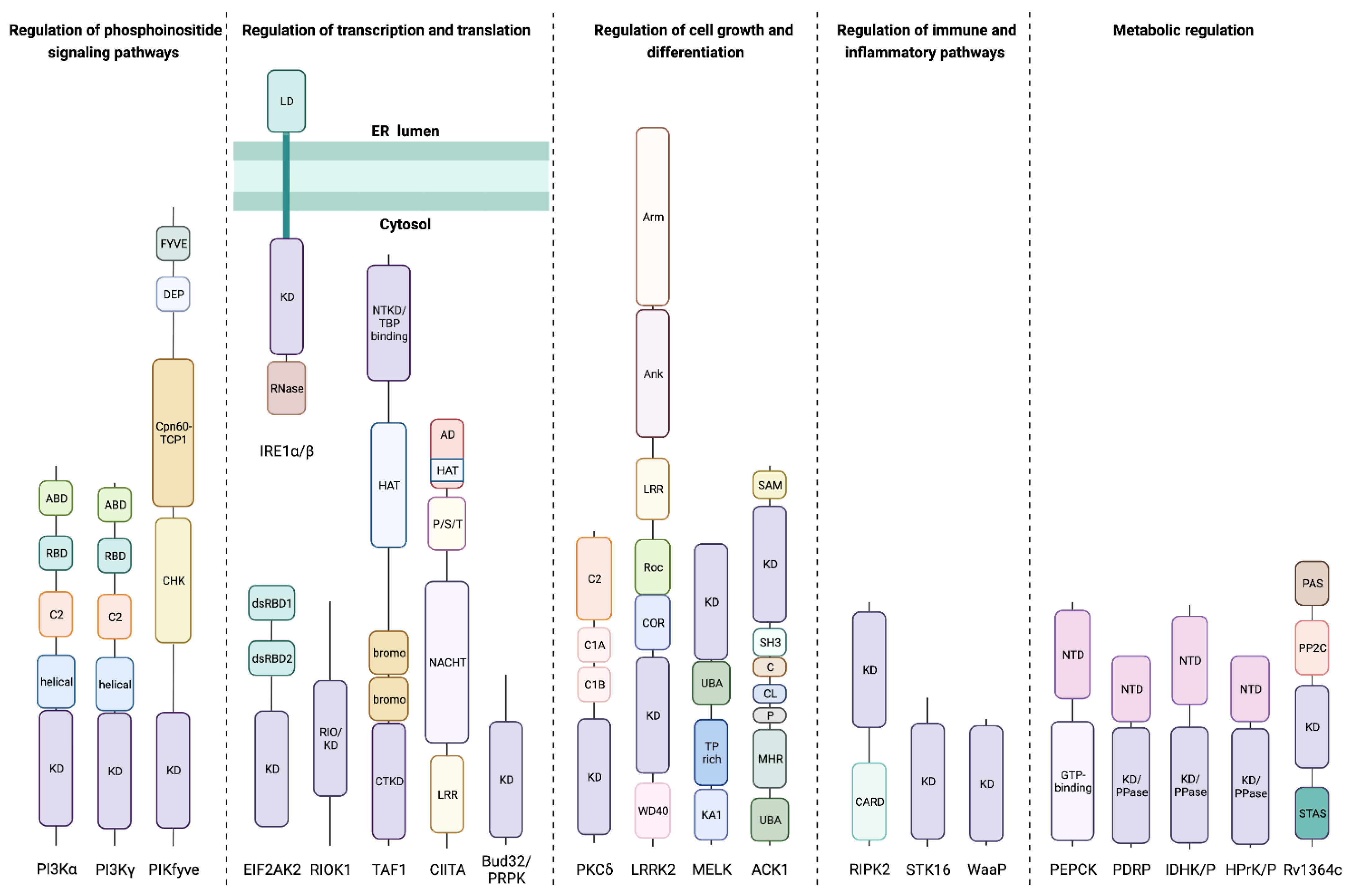 Biomolecules 12 00685 g001