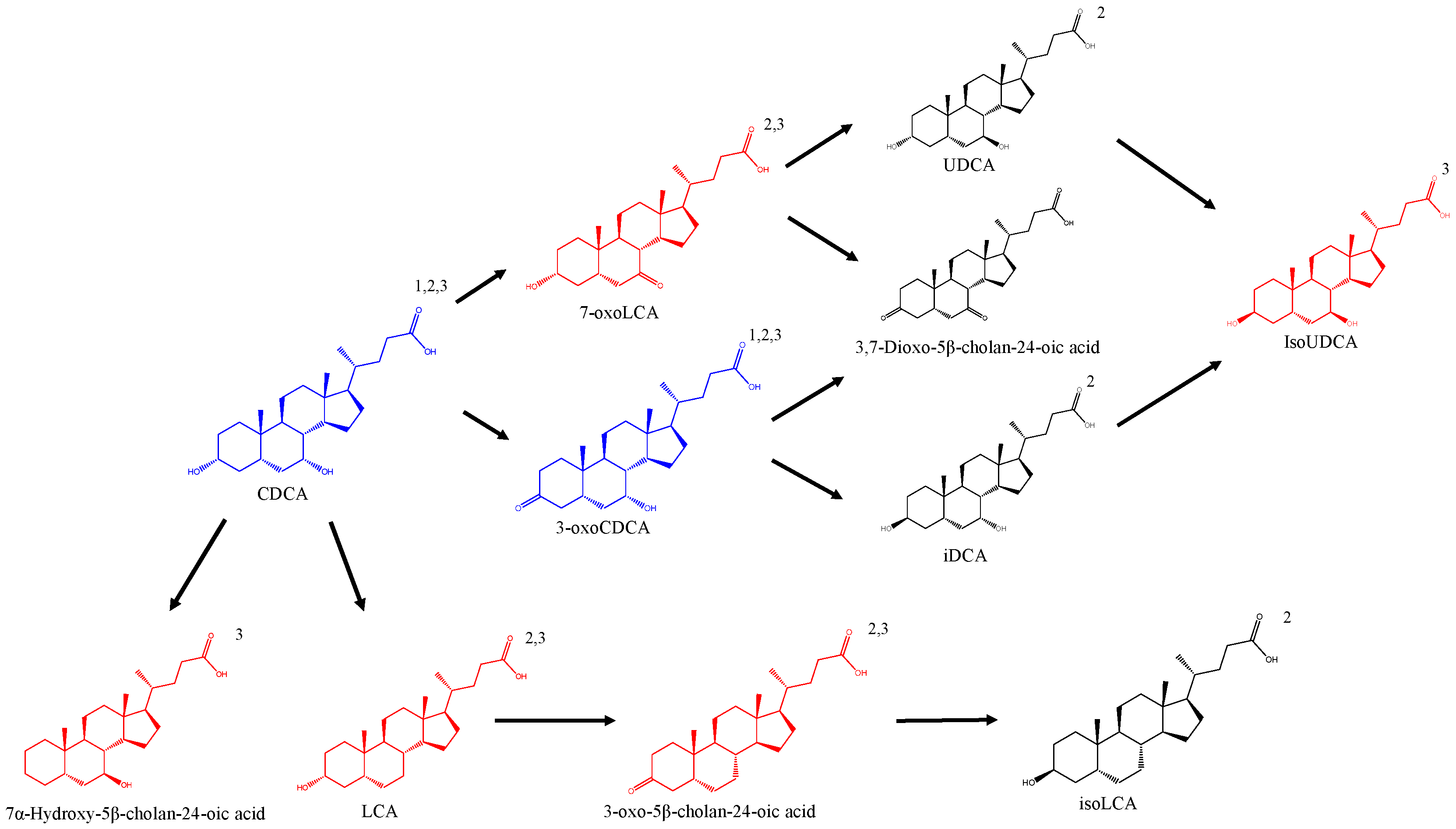 Biomolecules 12 00687 g002