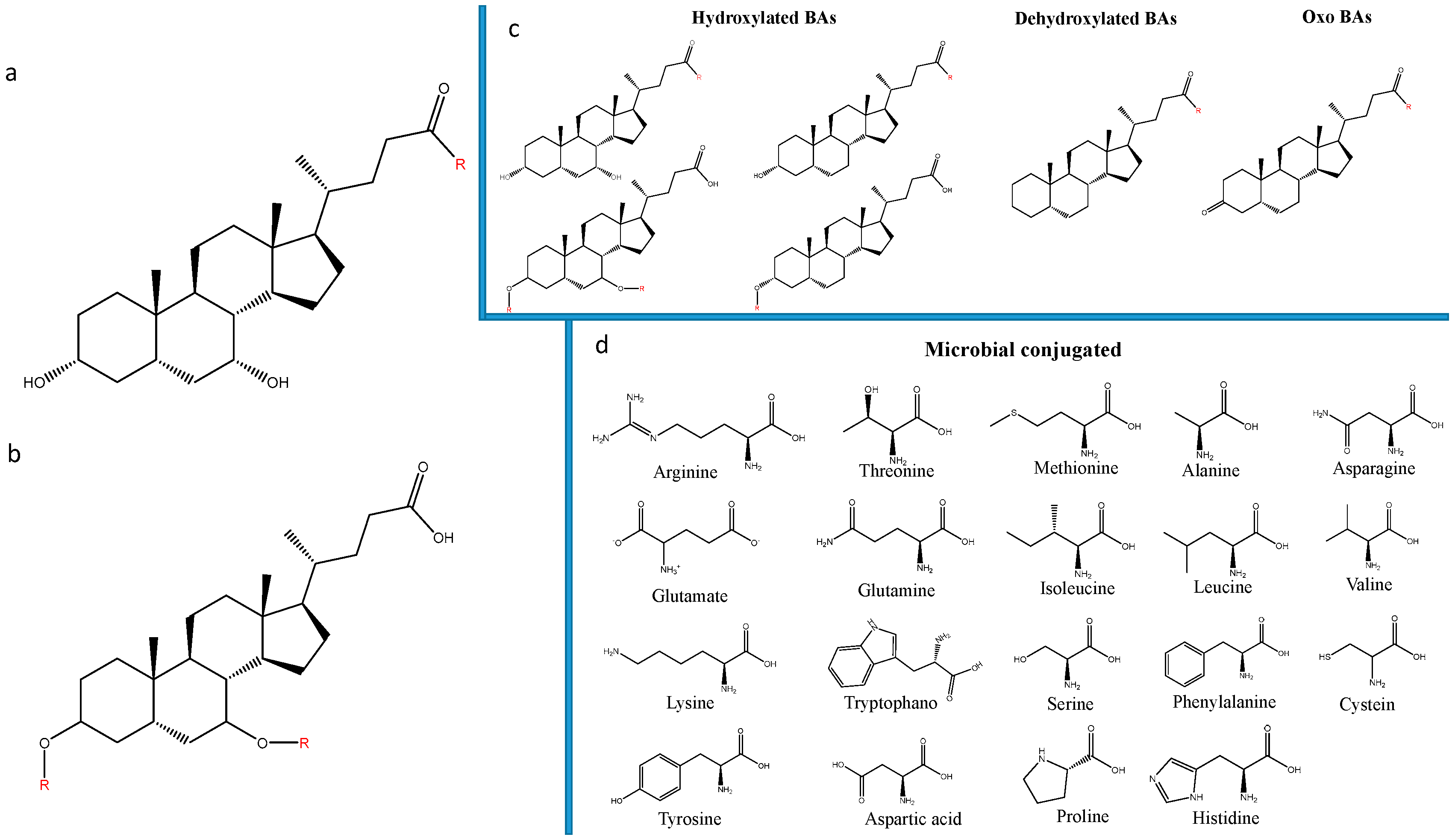 Biomolecules 12 00687 g003