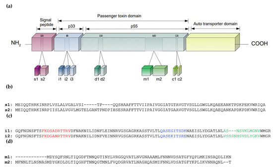 Biomolecules 12 00691 g002