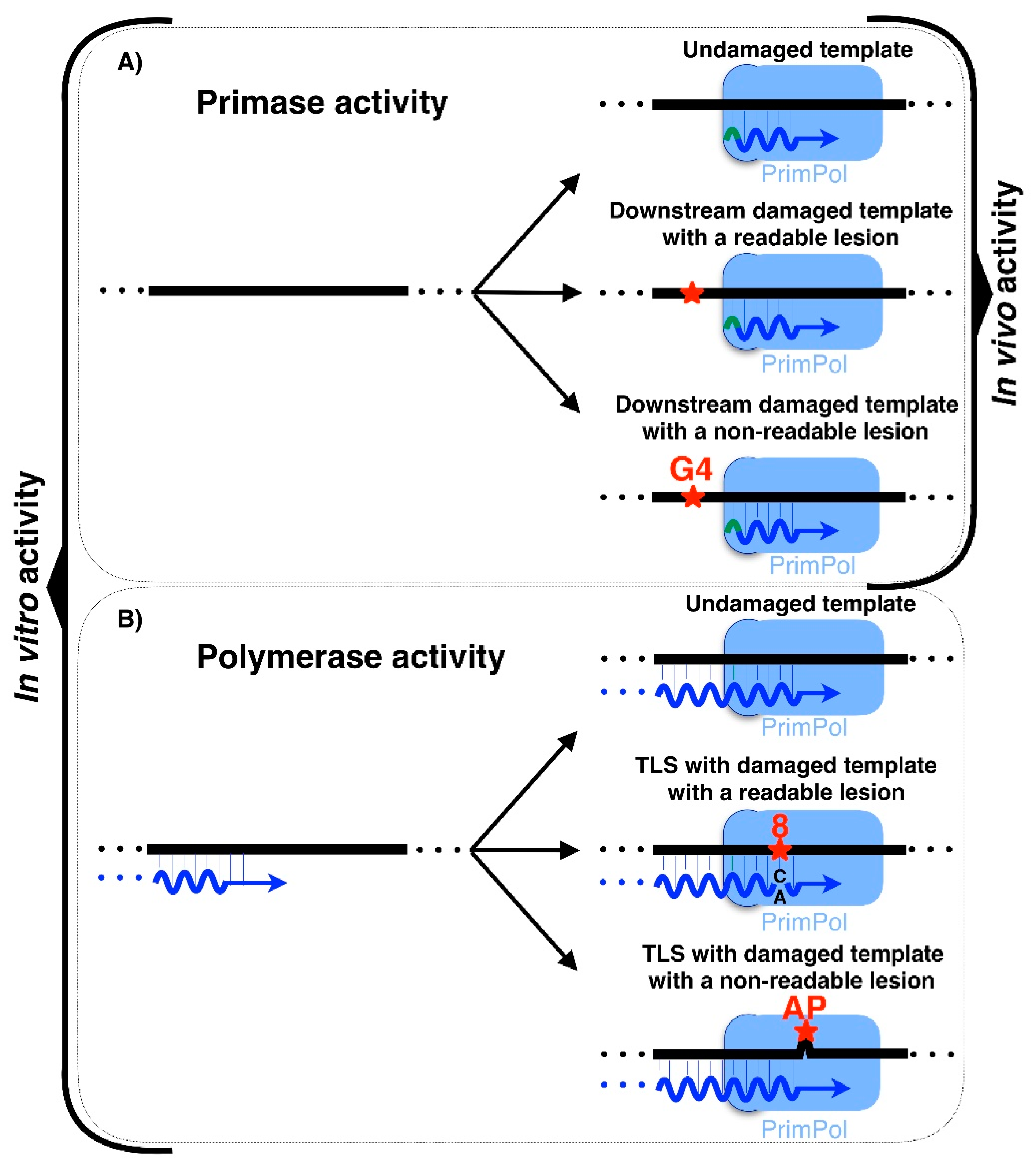 Biomolecules 12 00693 g001