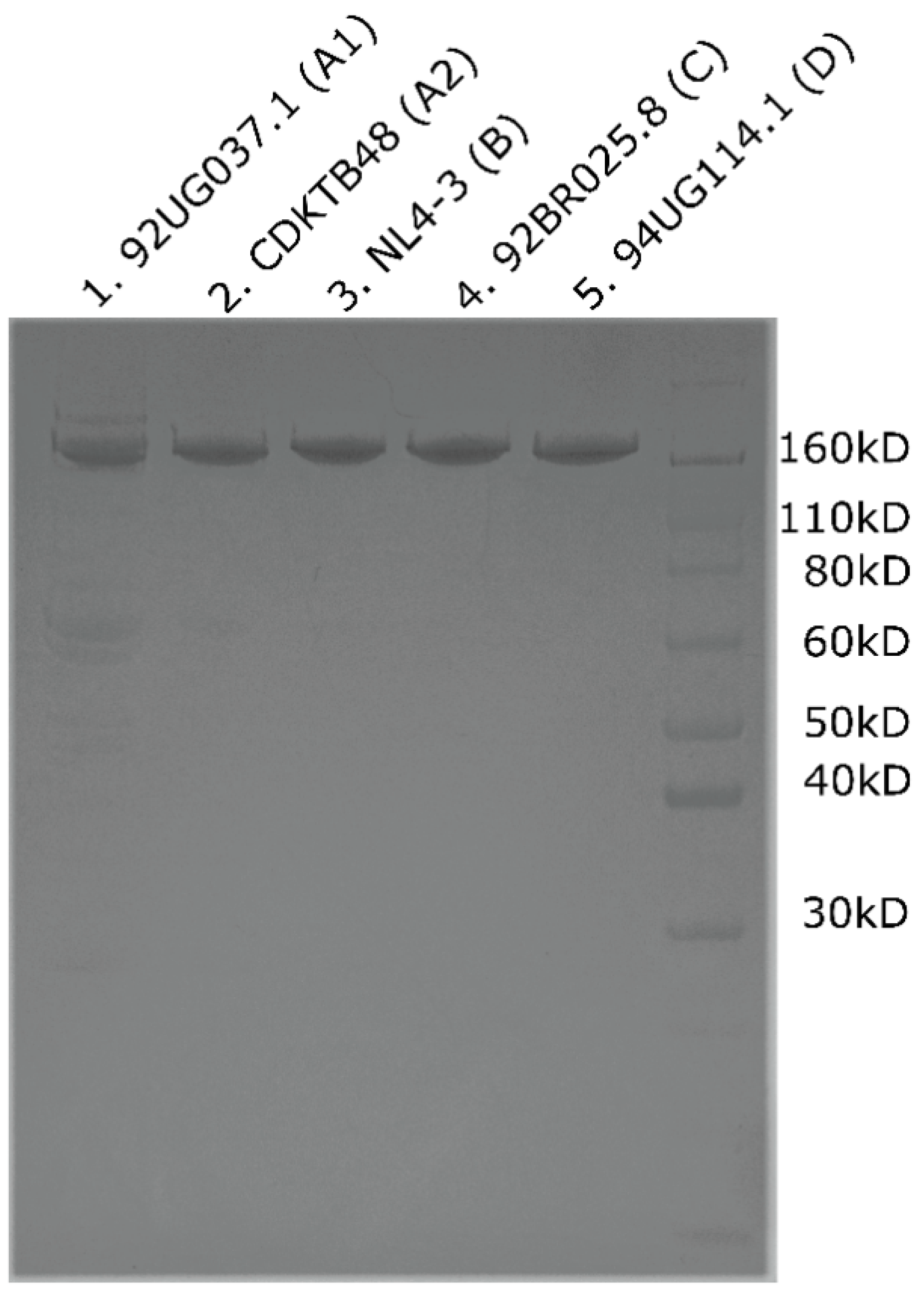 Biomolecules 12 00695 g005 Biomolecules 12 00695 g005