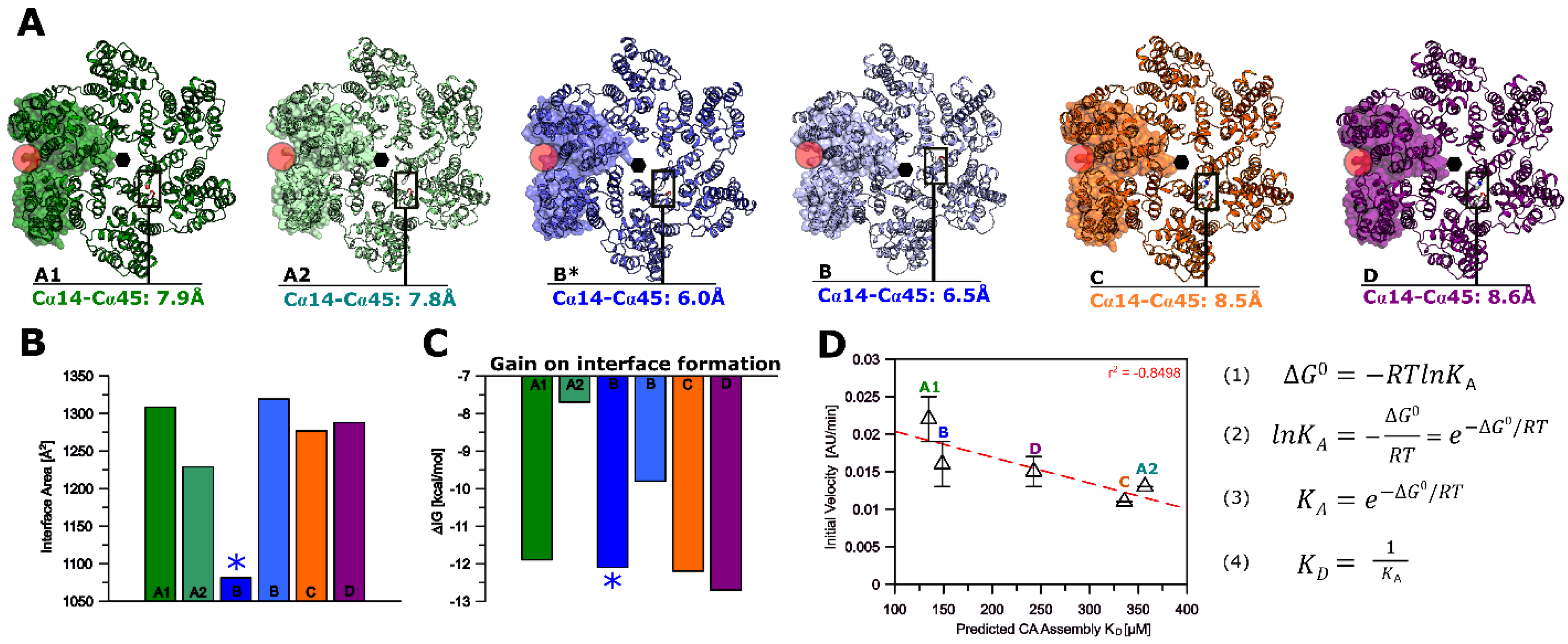 Biomolecules 12 00695 g012 Biomolecules 12 00695 g012
