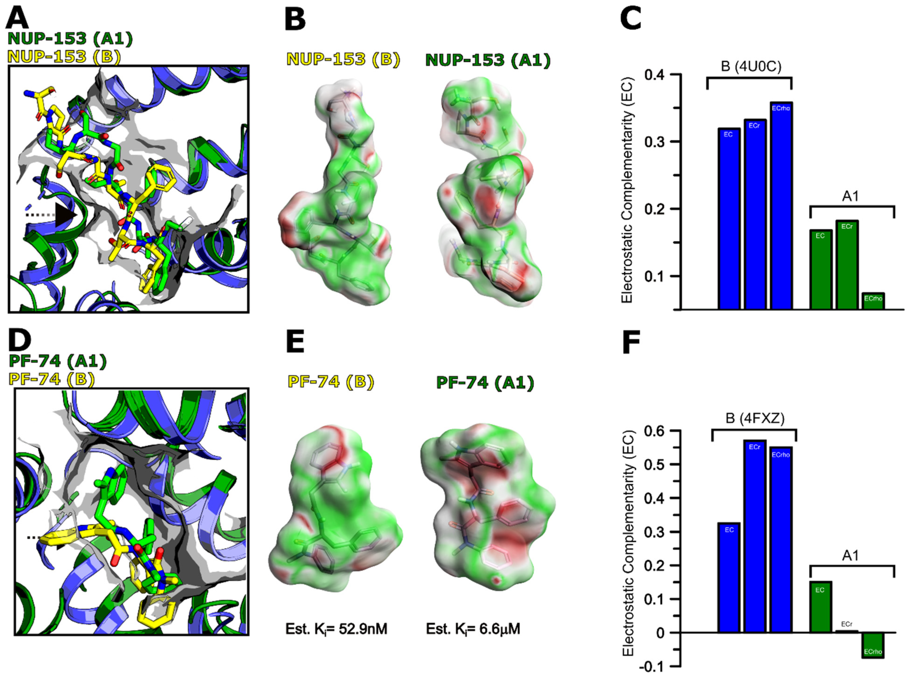 Biomolecules 12 00695 g014 Biomolecules 12 00695 g014