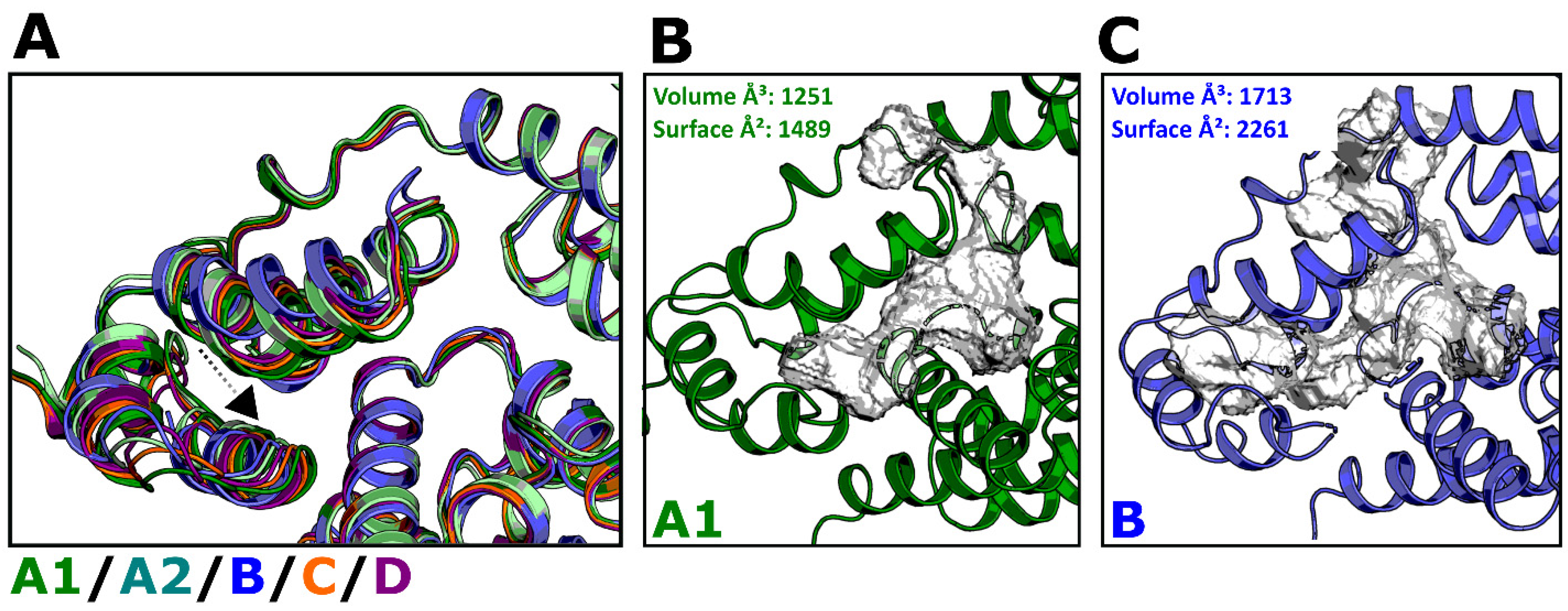 Biomolecules 12 00695 g015 Biomolecules 12 00695 g015