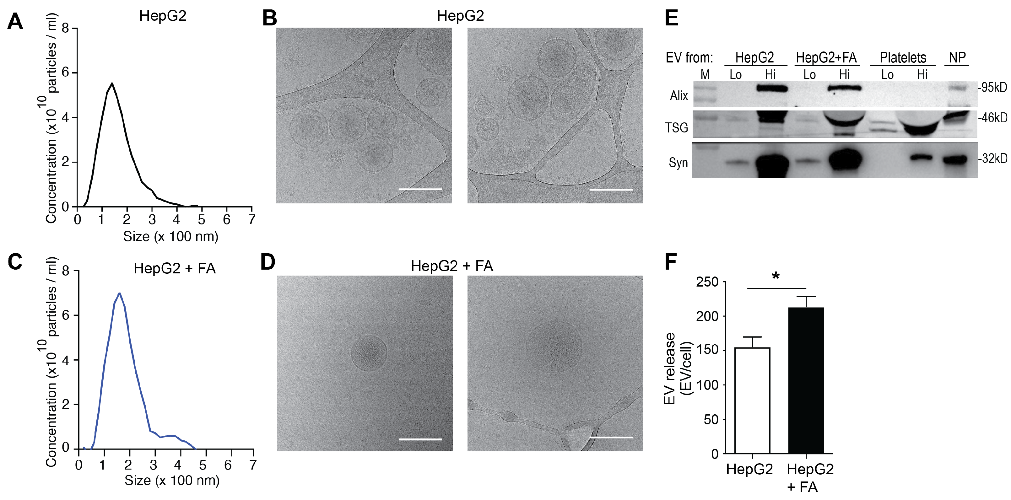 Biomolecules 12 00698 g001