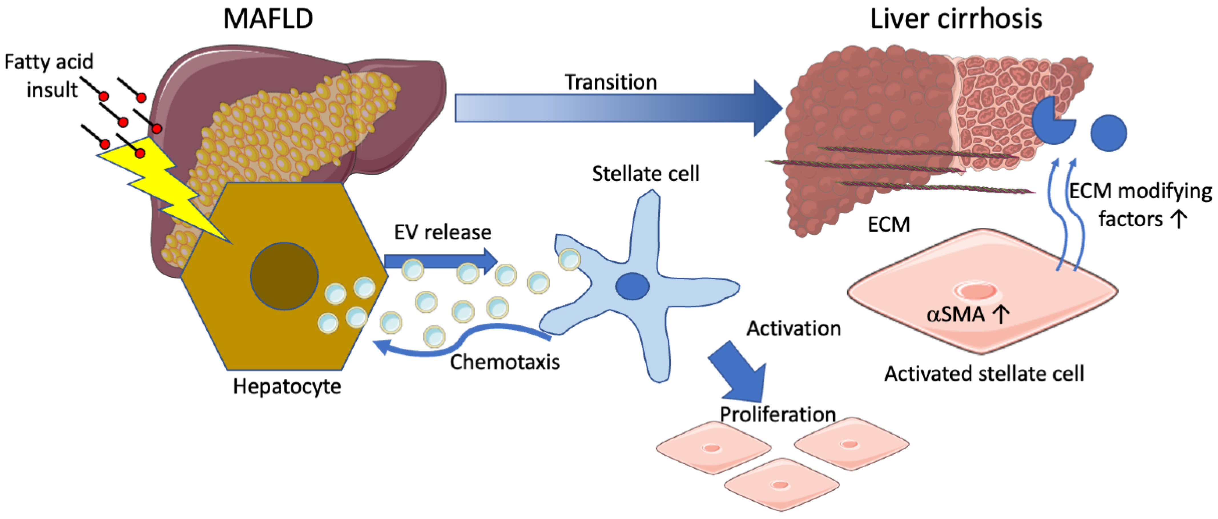 Biomolecules 12 00698 g006