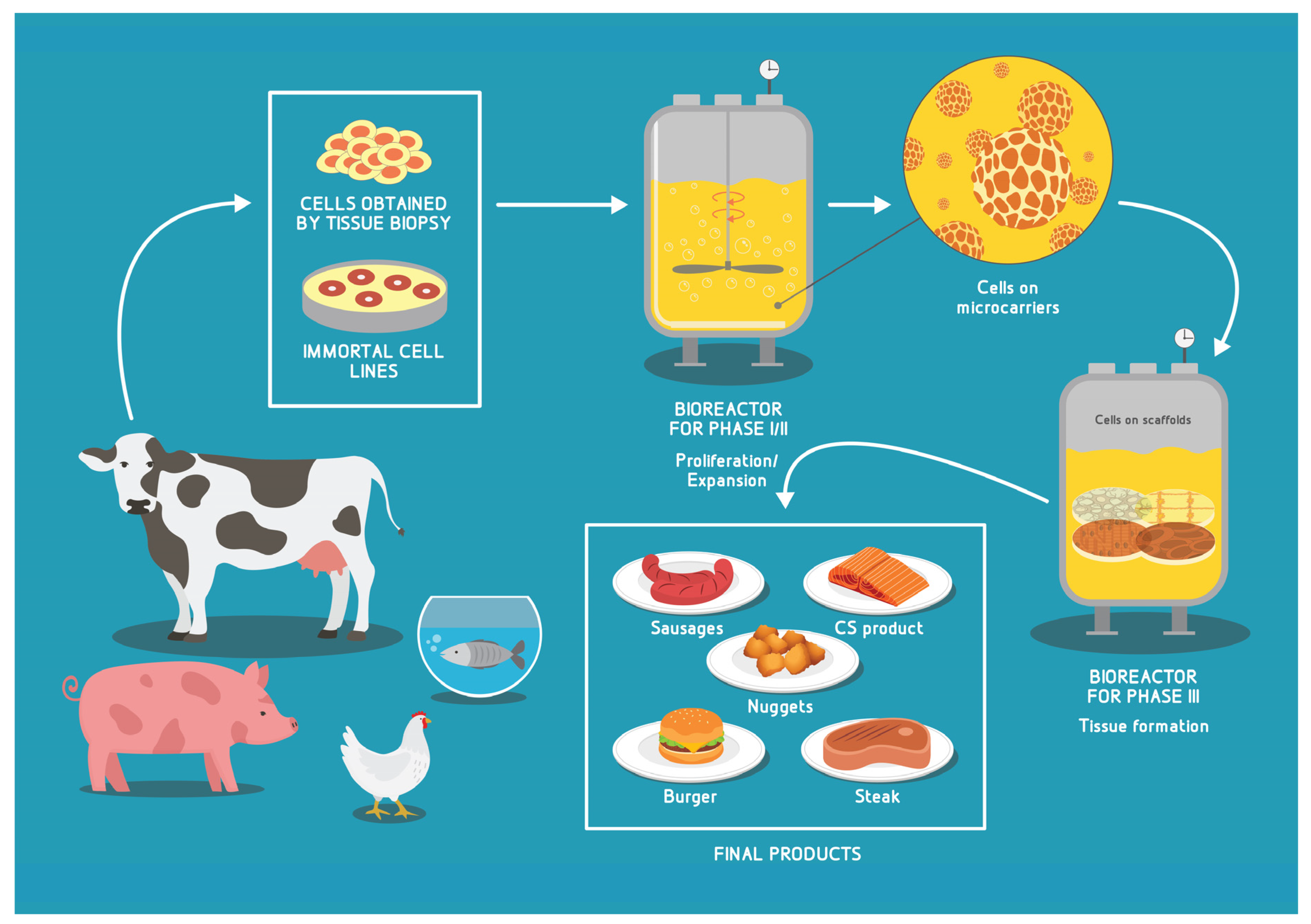 Biomolecules 12 00699 g001