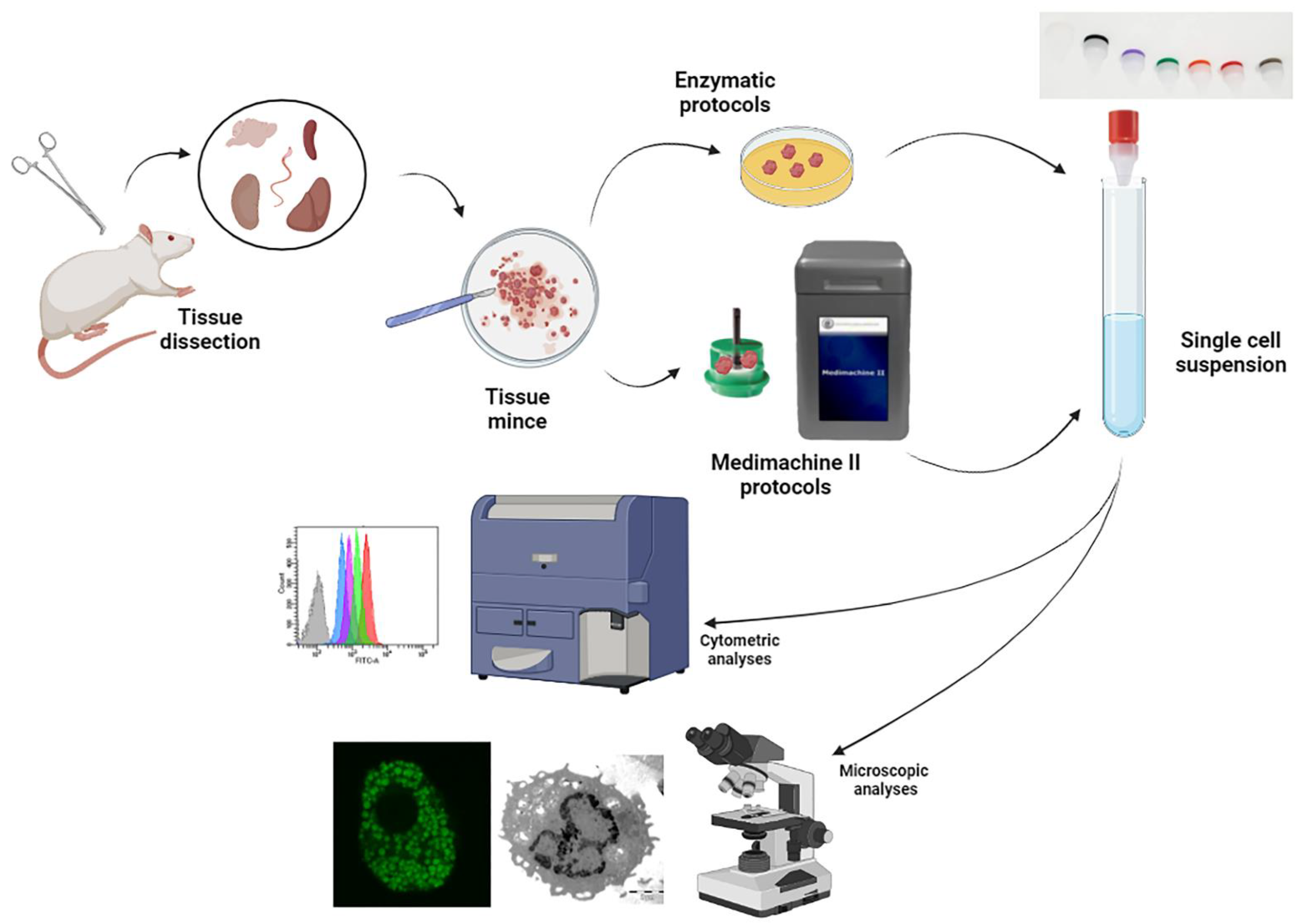 Biomolecules 12 00701 g001 Biomolecules 12 00701 g001