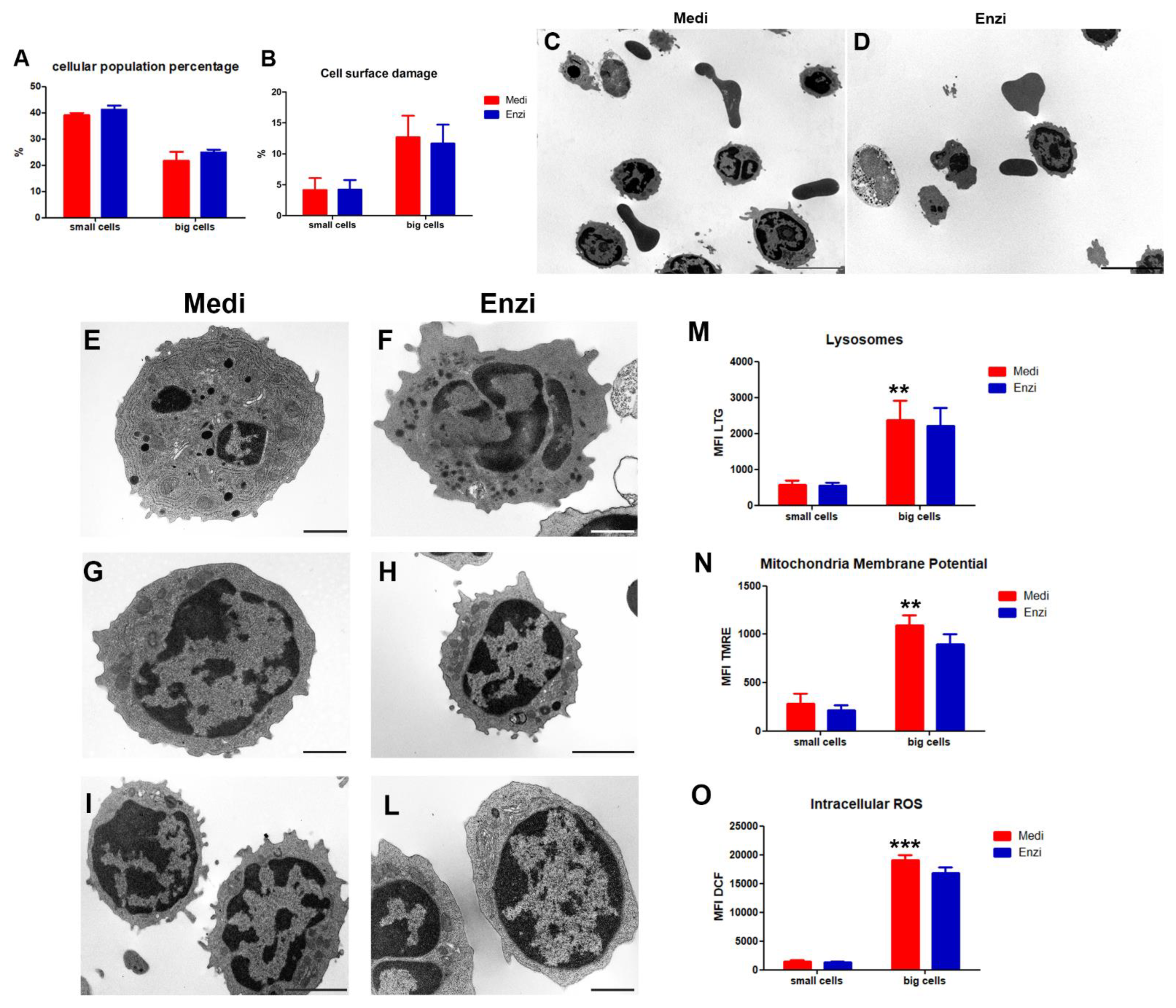 Biomolecules 12 00701 g002 Biomolecules 12 00701 g002