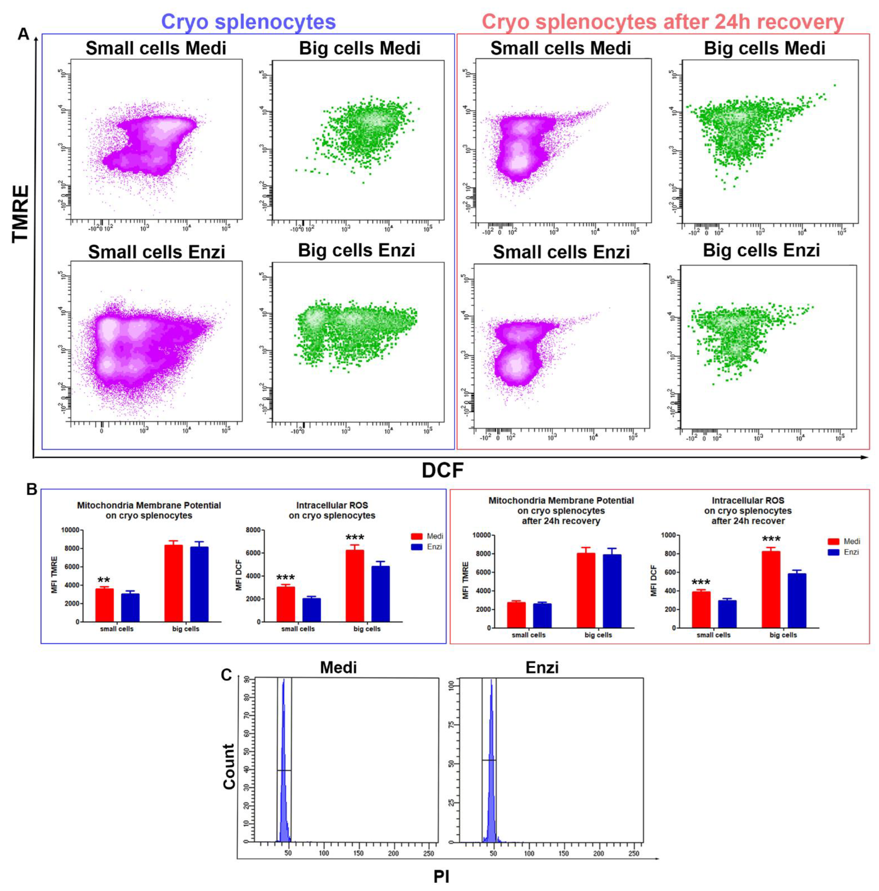 Biomolecules 12 00701 g005 Biomolecules 12 00701 g005