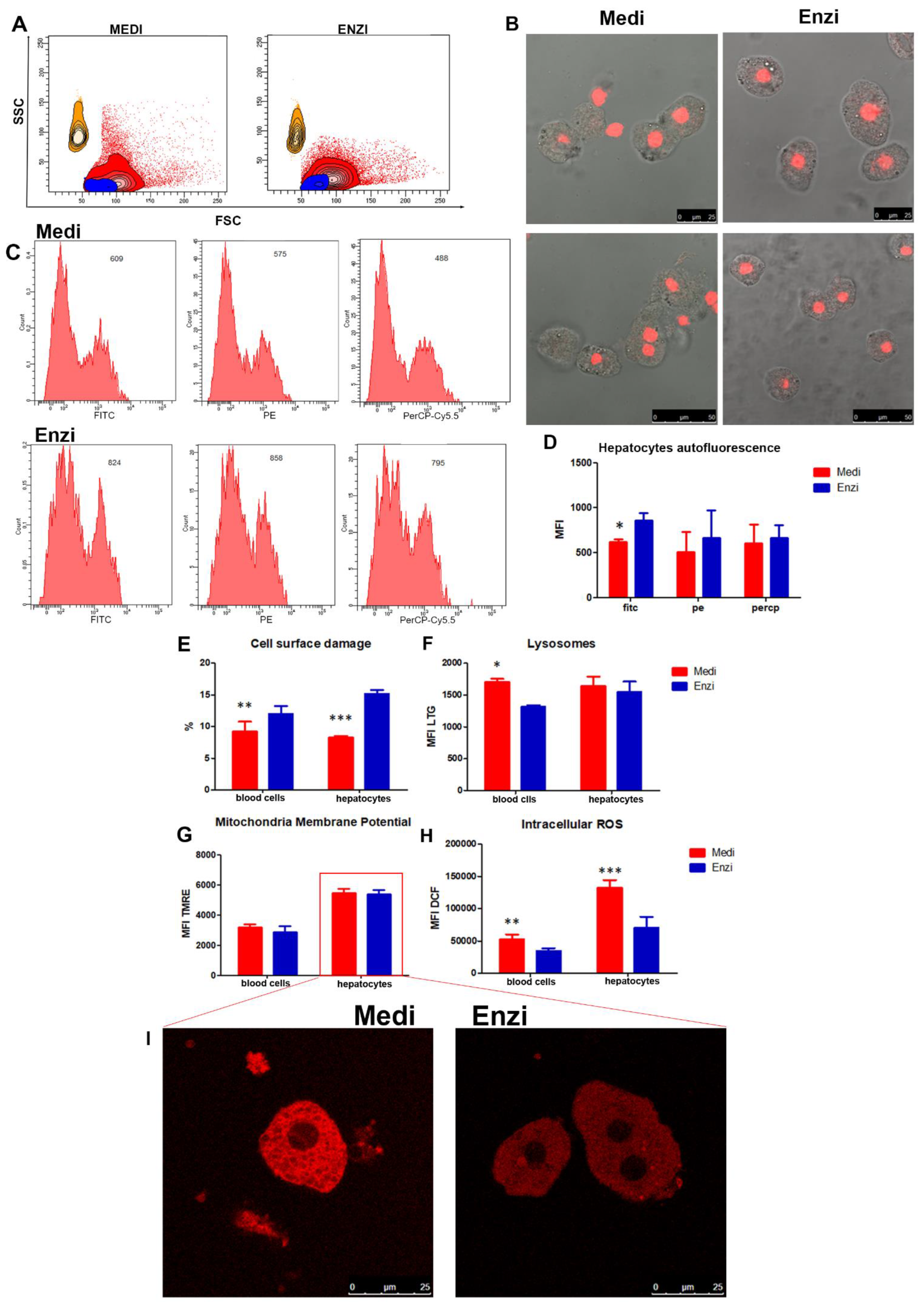 Biomolecules 12 00701 g009 Biomolecules 12 00701 g009