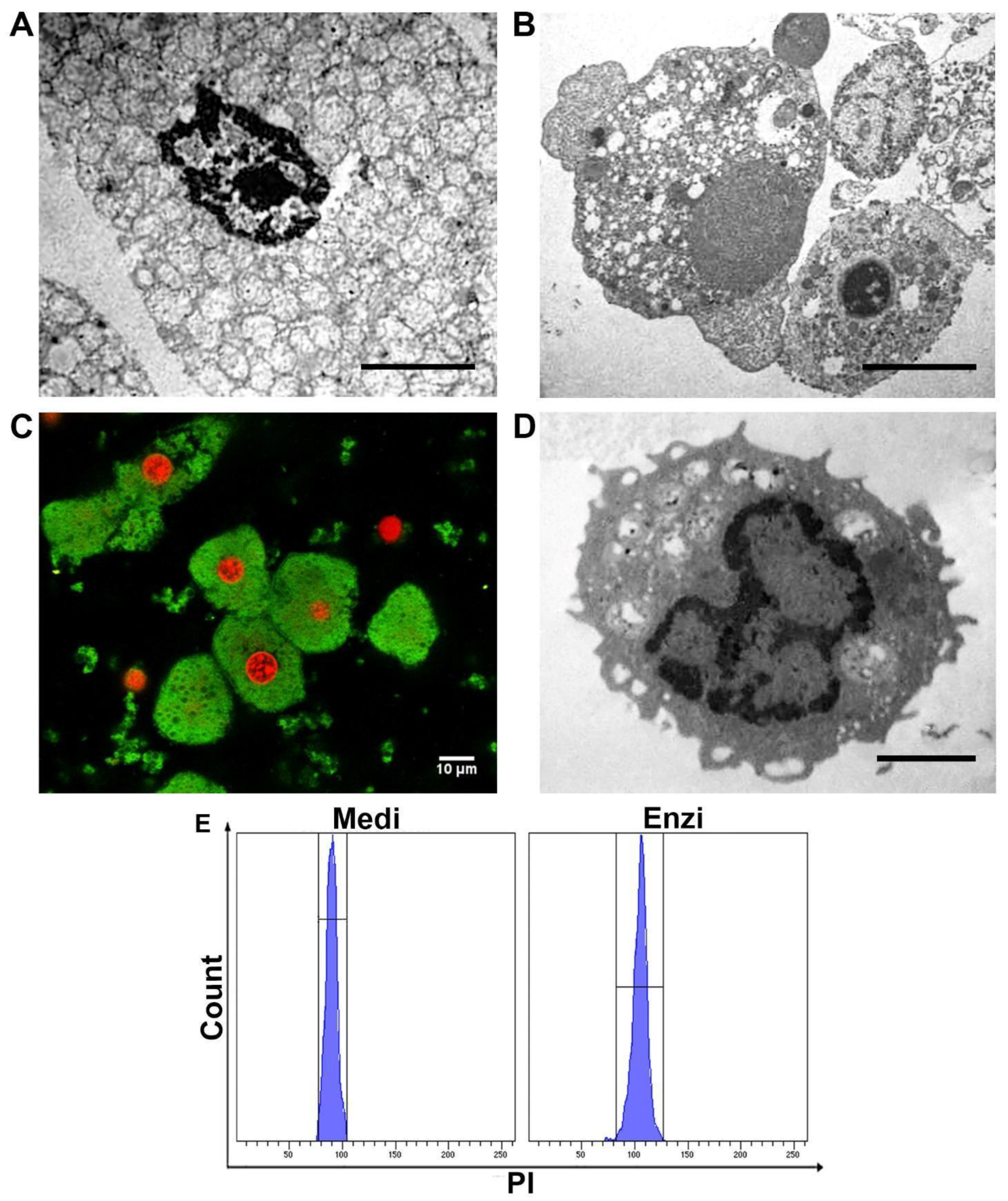 Biomolecules 12 00701 g010 Biomolecules 12 00701 g010